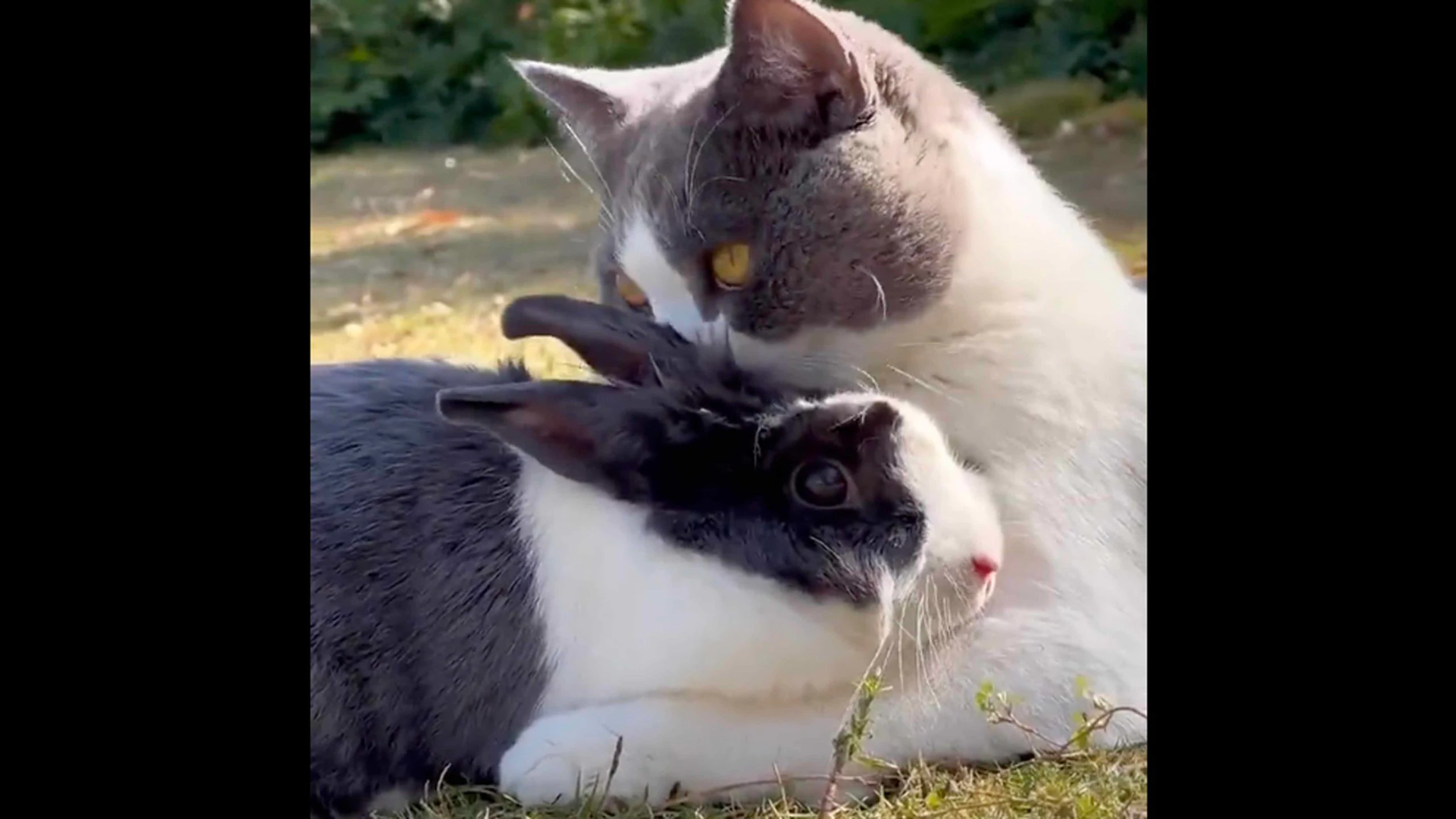 One more for the road 1 12 23 scaled