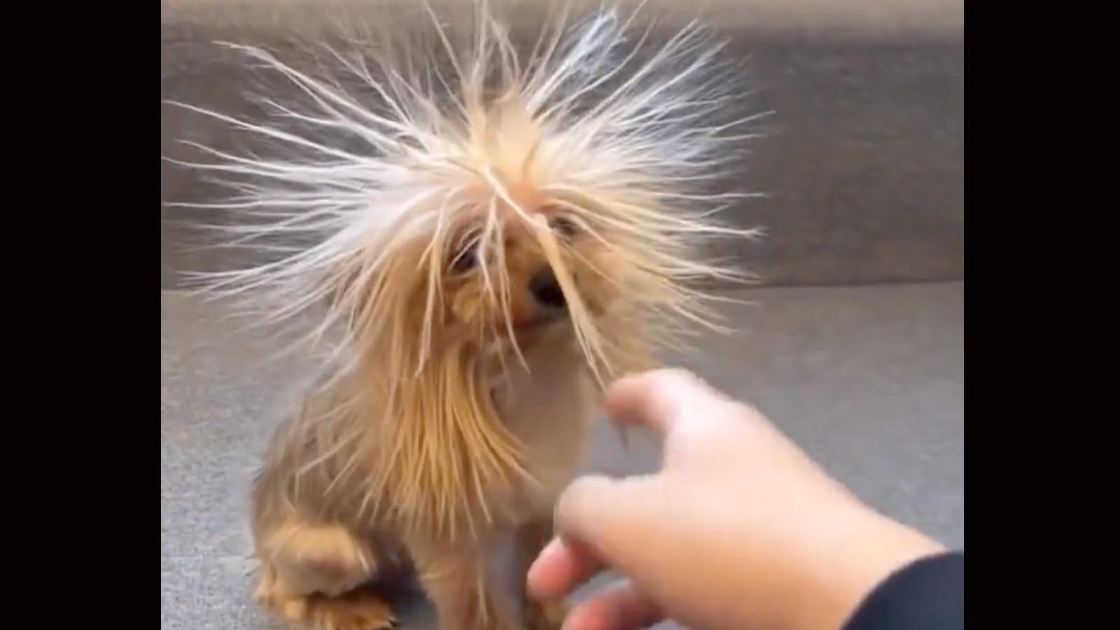 One more for the road 1 8 23