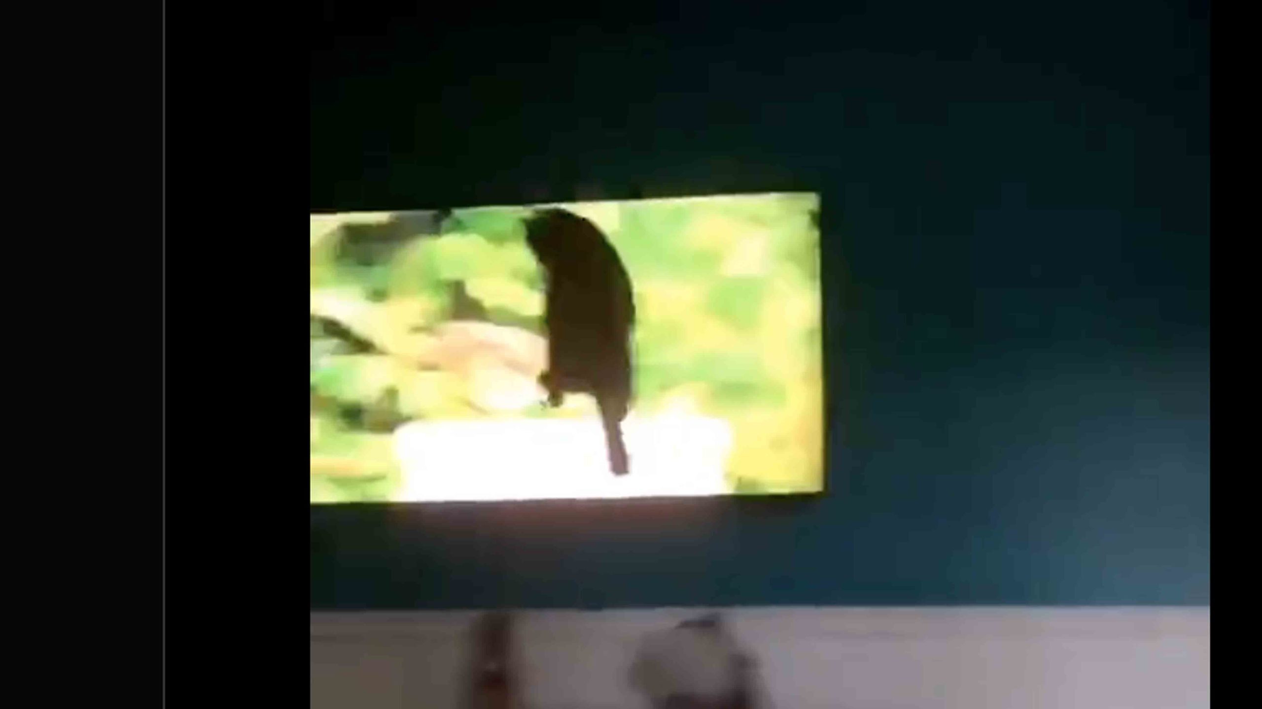 One more road no play 10 18 22 scaled