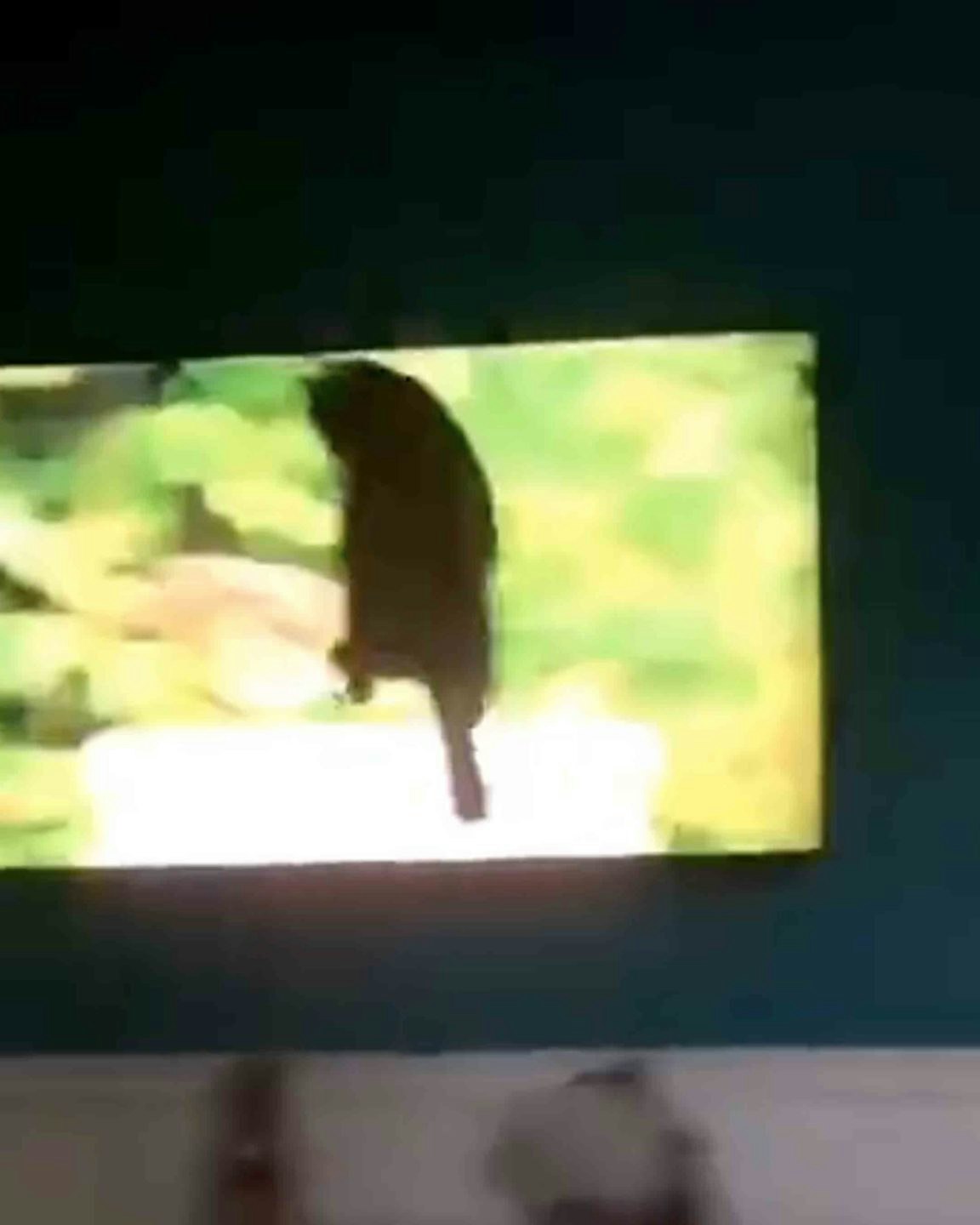 One more road no play 10 18 22 scaled