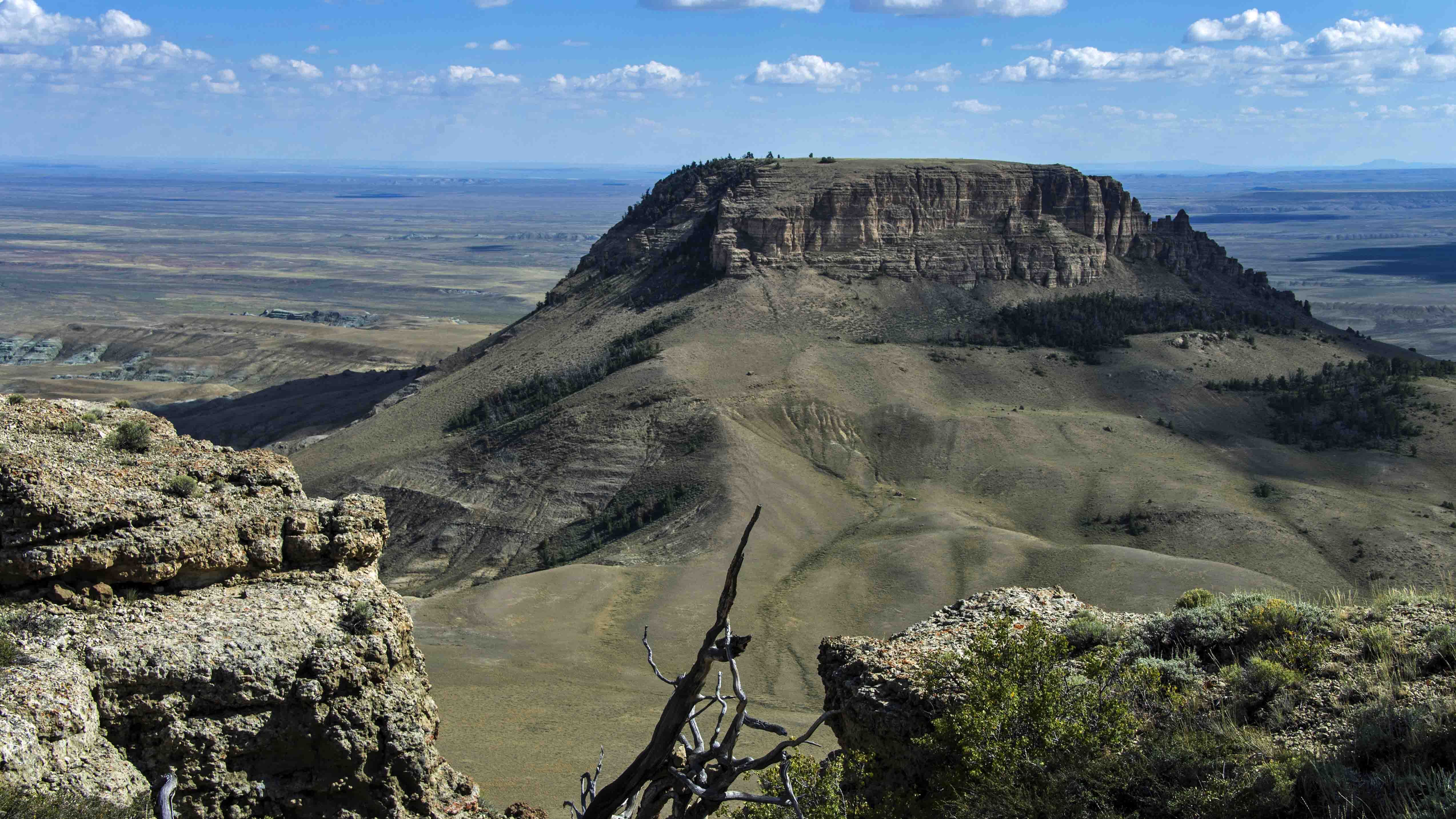 Former BLM Director Says Wyoming Would Win If It Sues Over Rock Springs ...