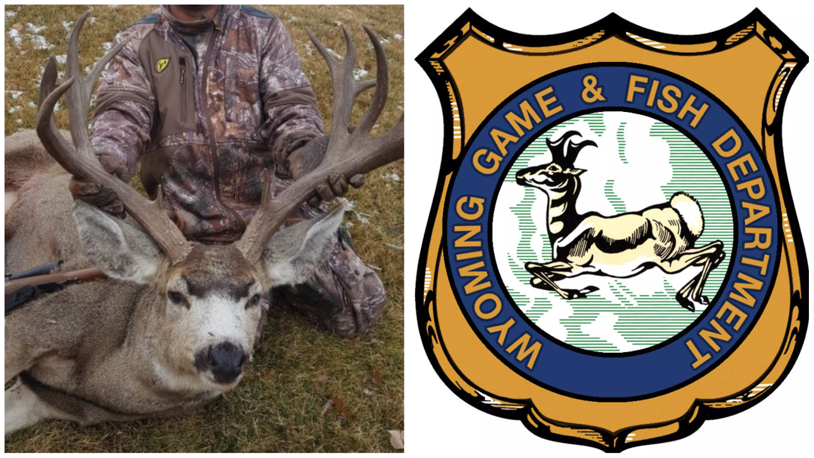 Pacher and logo 12 14 22