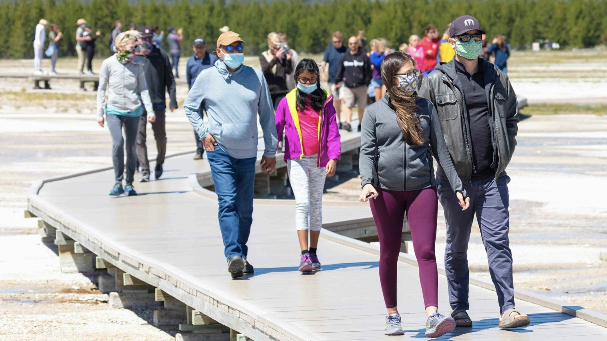 Pandemic at yellowstone scaled