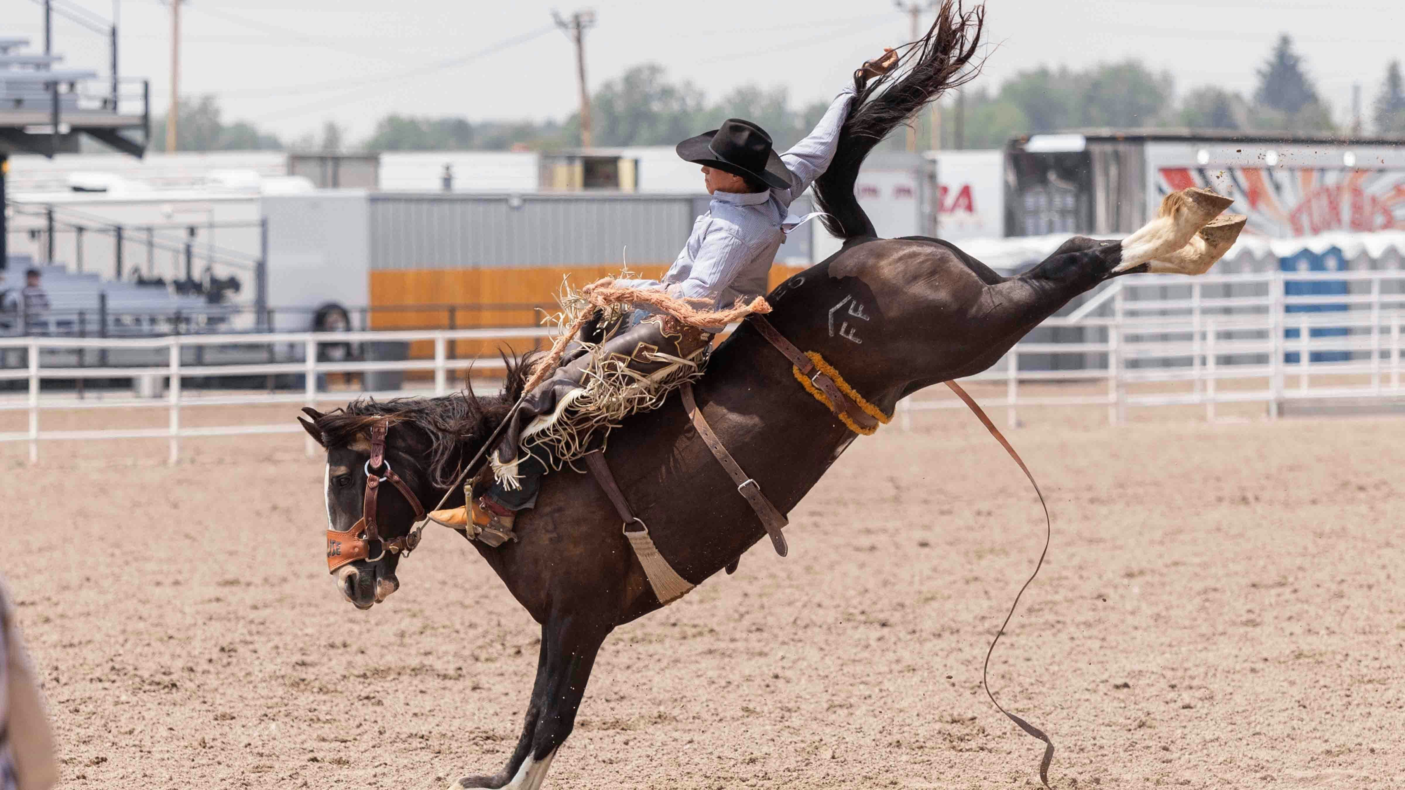 Joe Priebe from Cody, Wyoming rides his saddle bronc horse at Cheyenne Frontier Rodeo on July 23, 2024.