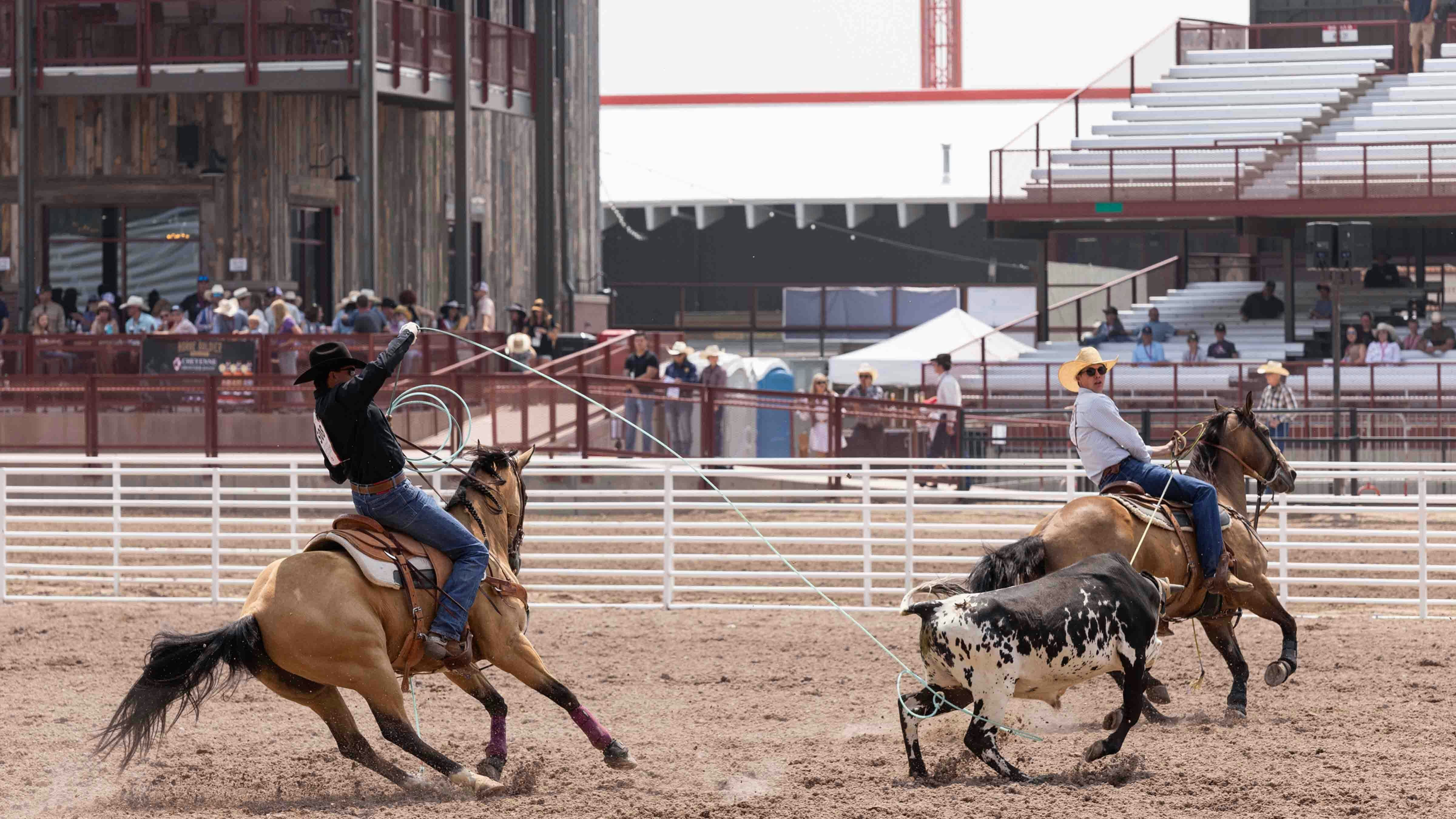 Gavin and Wyatt Hershberger from Congress, Arizona rope their steer in 8.8 seconds to win the team roping at Cheyenne Frontier Days on July 23, 2024.