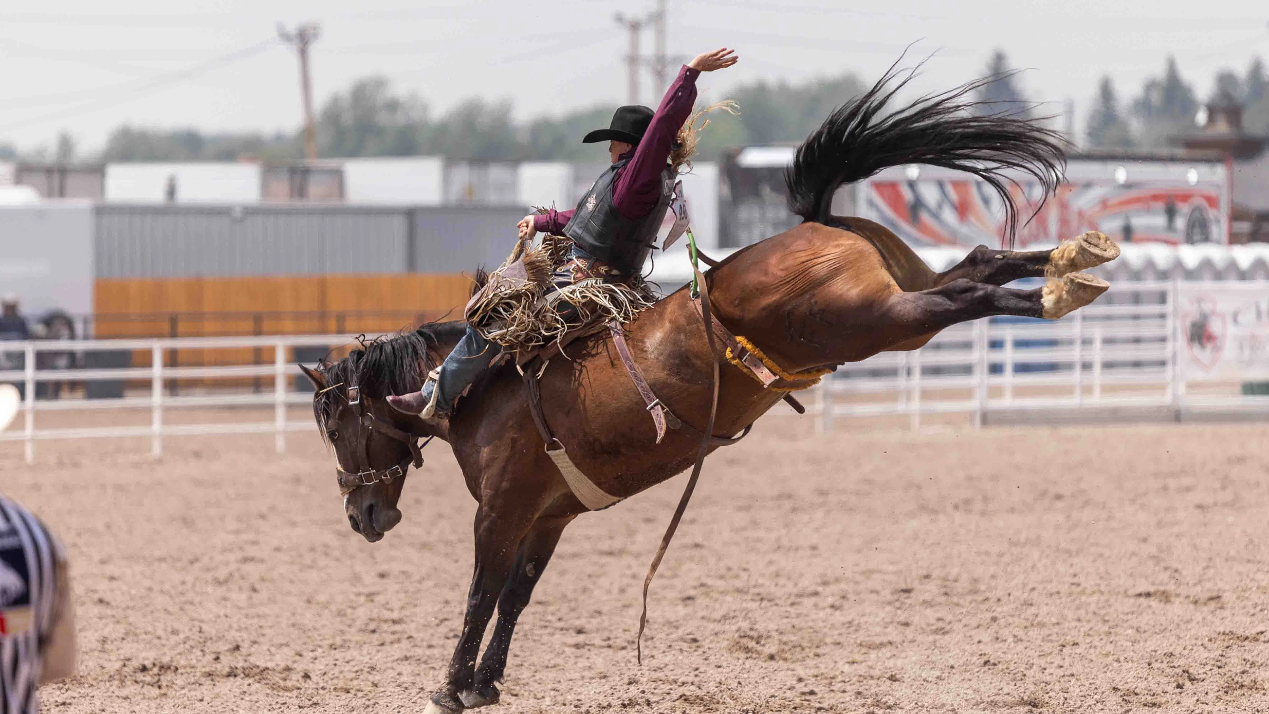 Cheyenne Frontier Days Photo Gallery: Thursday, July 25, 2024 | Cowboy ...