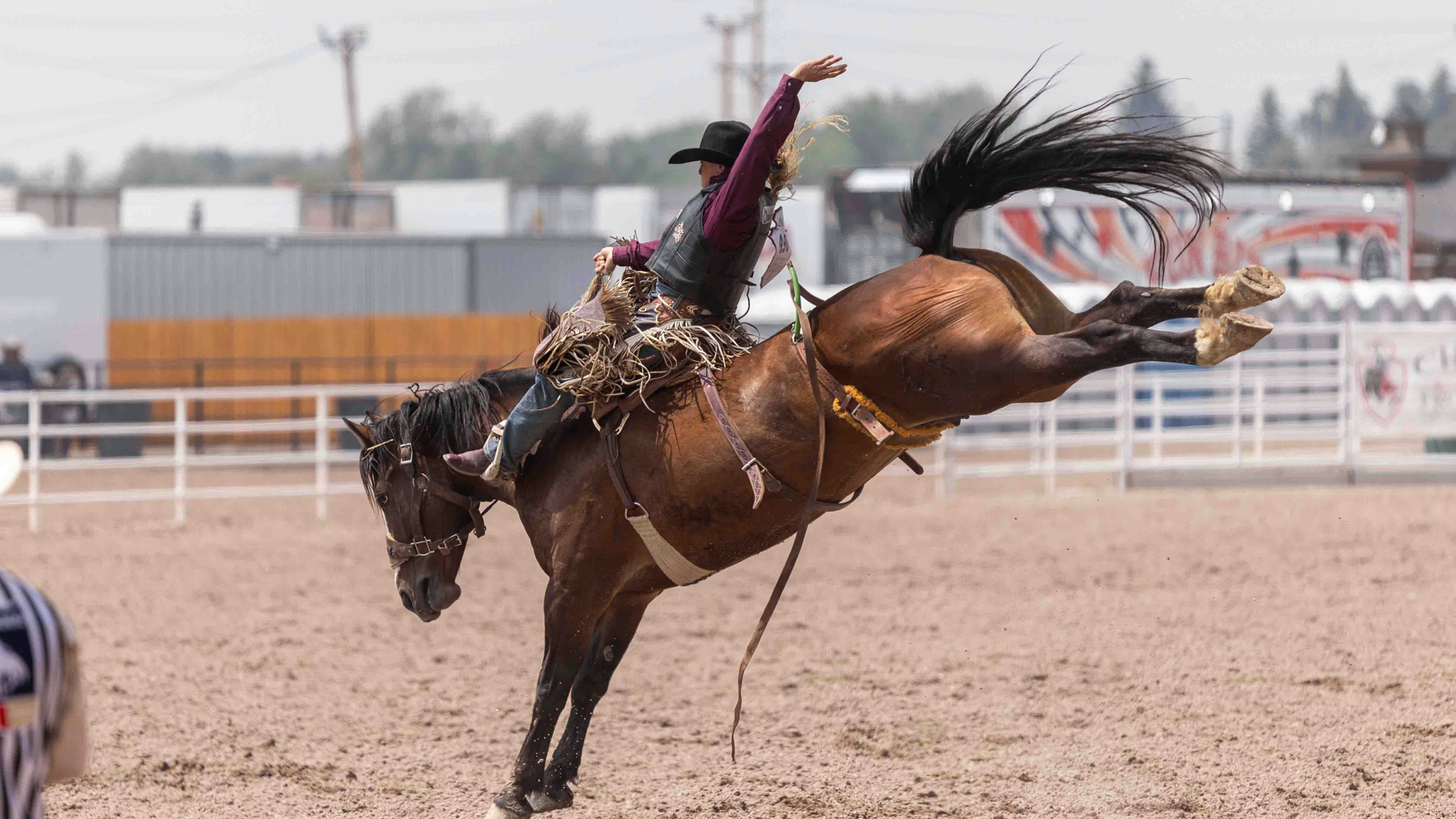 Logan Hay from Wildwood, Alberta, Canada rides his saddle bronc horse to score 87 points to win 1st at Cheyenne Frontier Days on July 23, 2024.