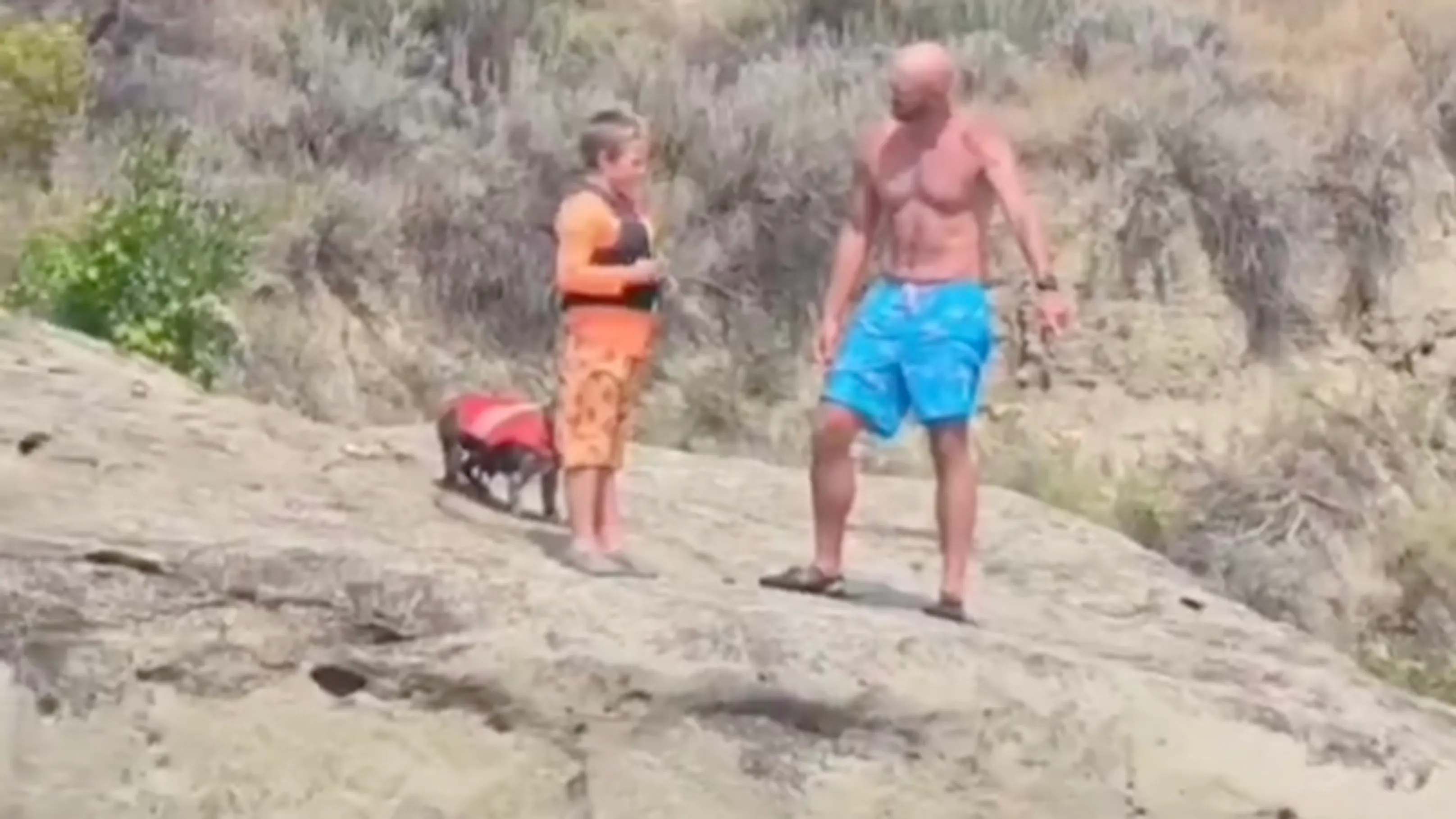 Parenting no play 8 17 26