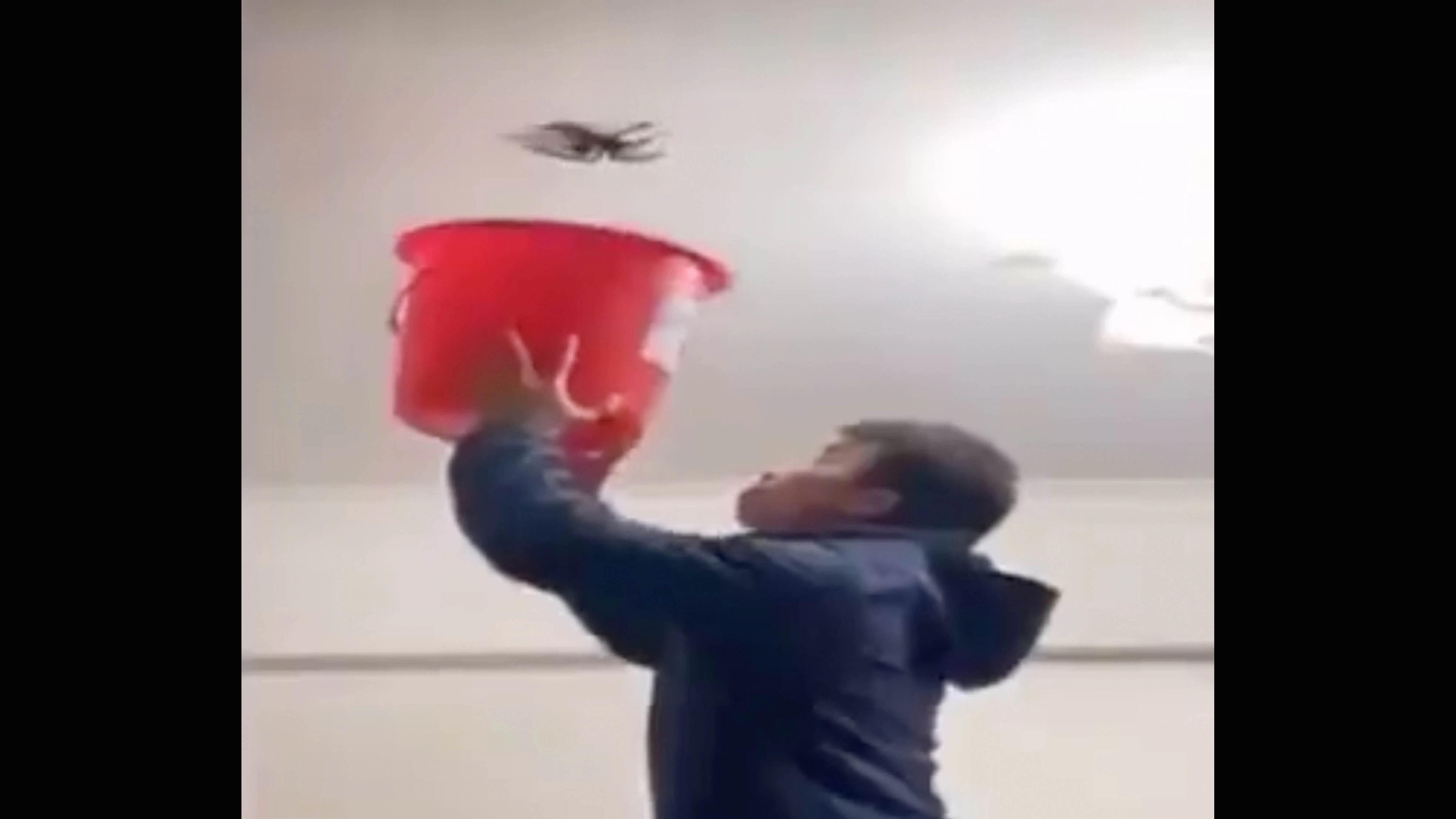 Pest control 8 1 26