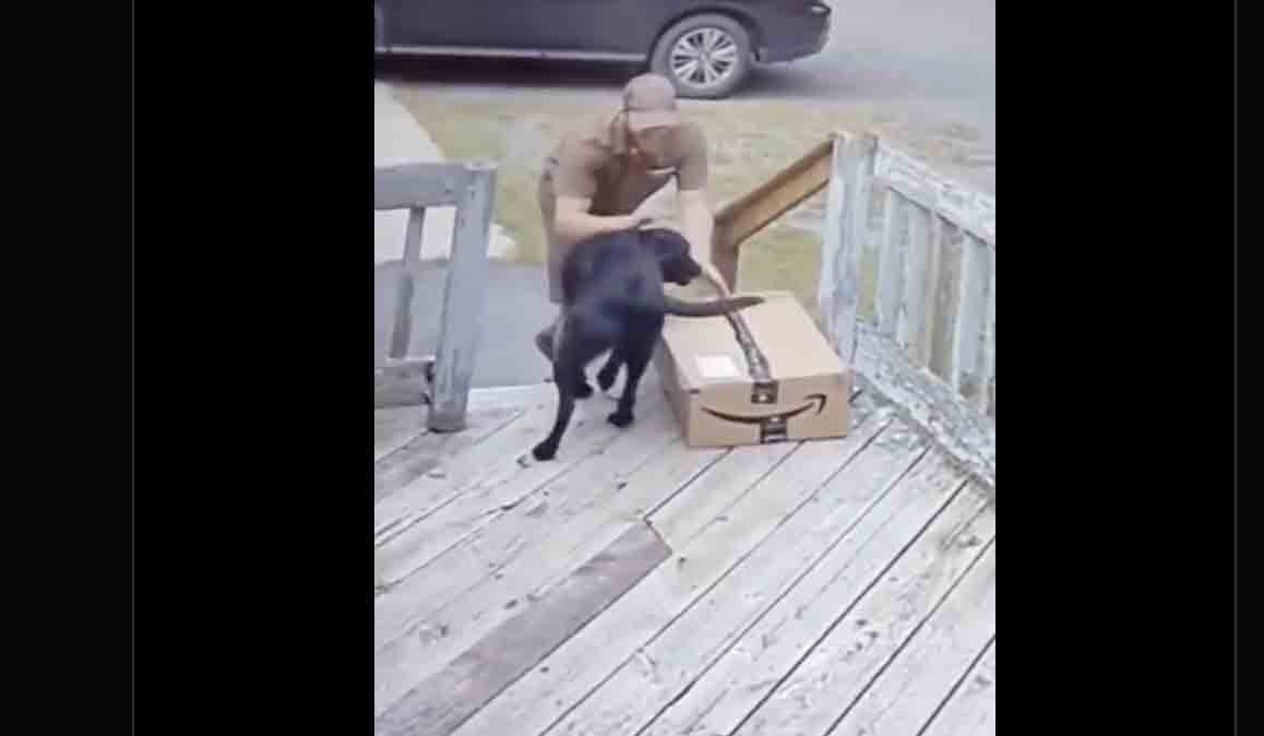 Photo 1 no play 10 31 22