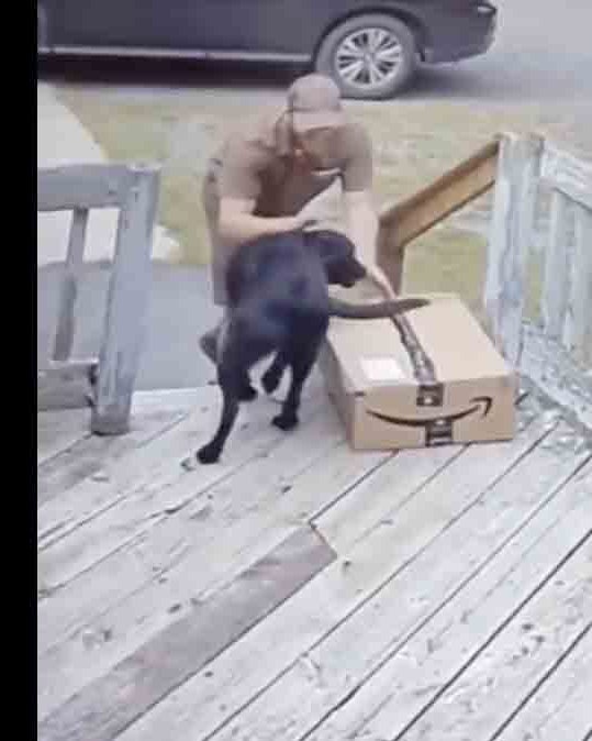 Photo 1 no play 10 31 22