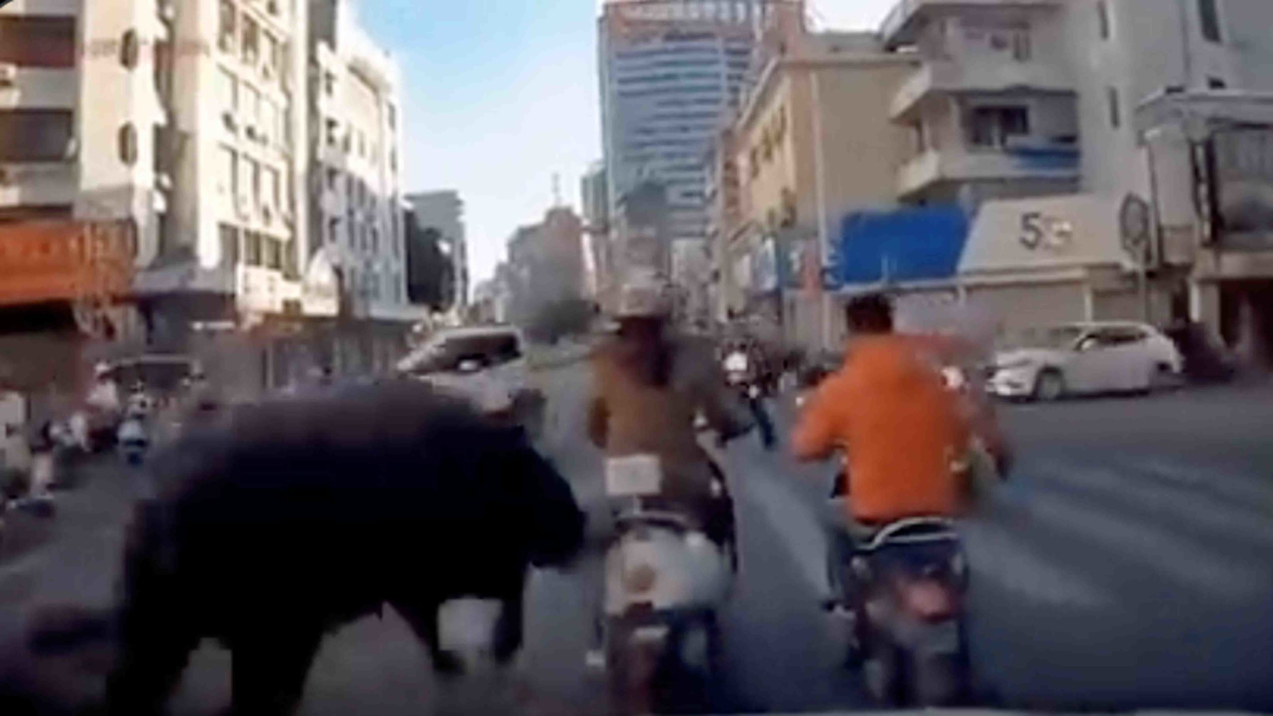 Photo 2 9 23 22 no play scaled