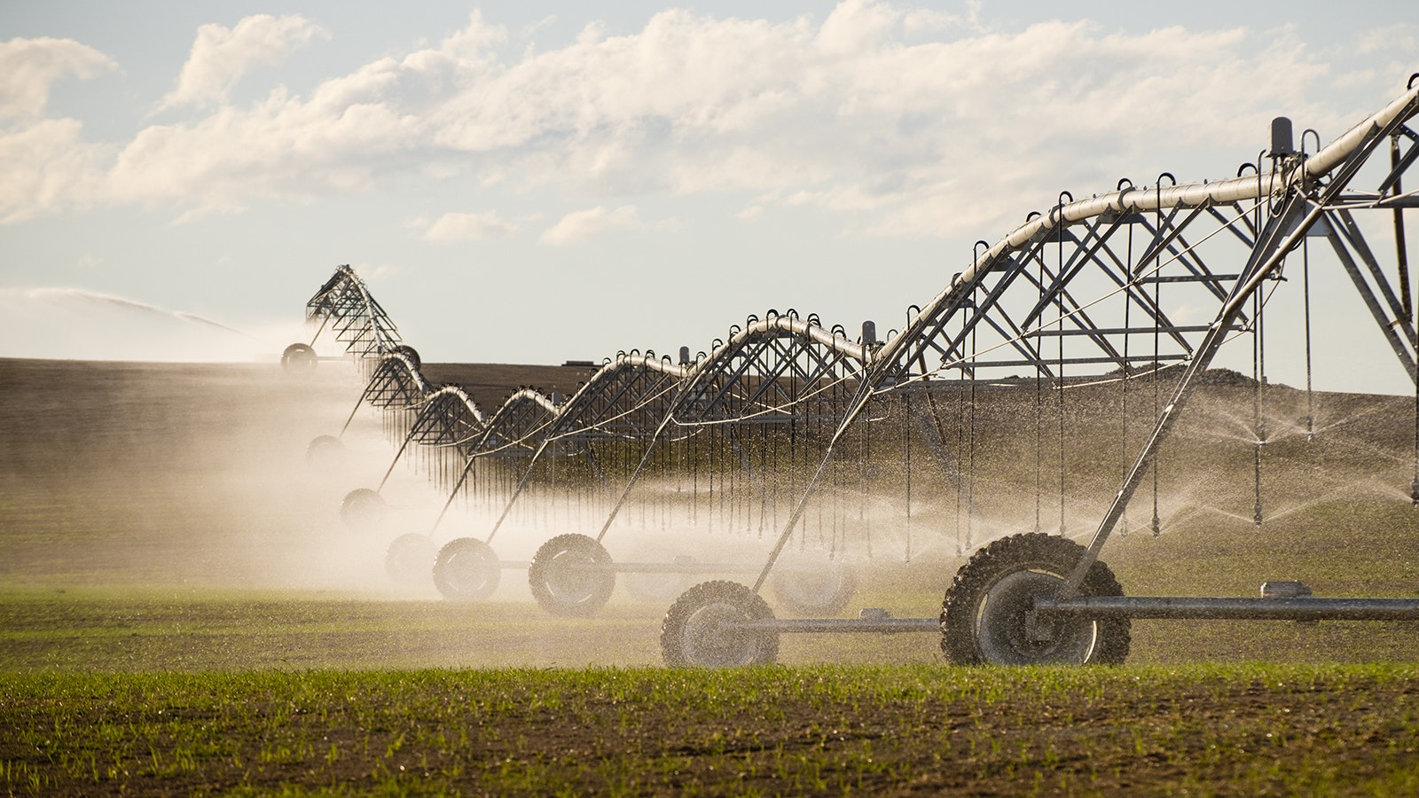 Pivot irrigation may be something Laramie County farmers will have trouble maintaining as Cheyenne's share of Colorado River water dwindles.