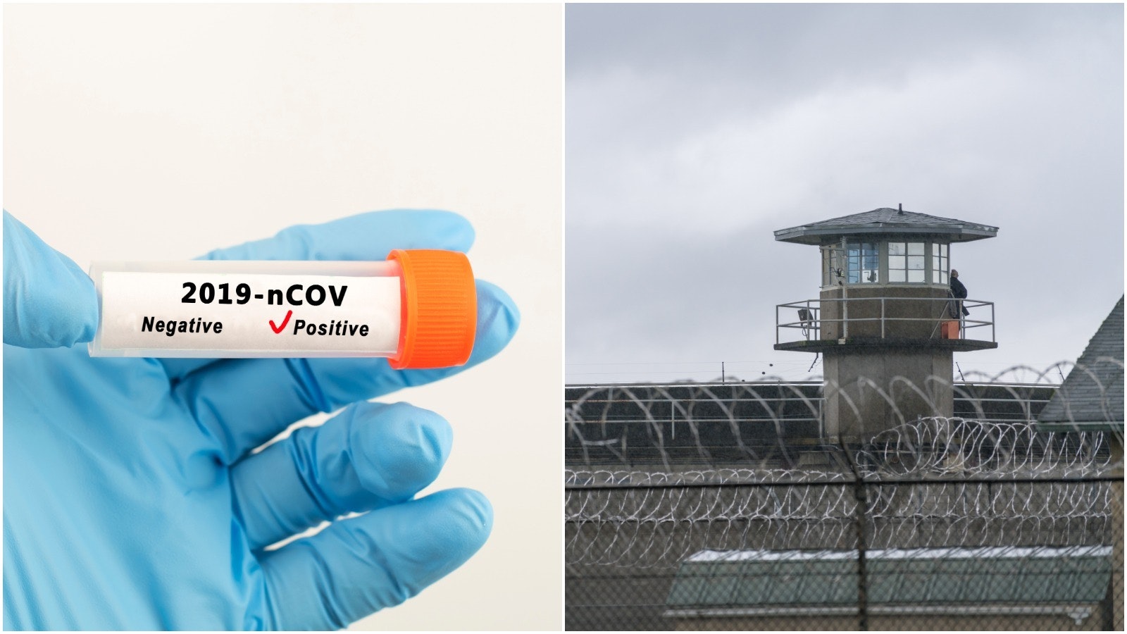 Pjimage 2020 07 08 T135106 970