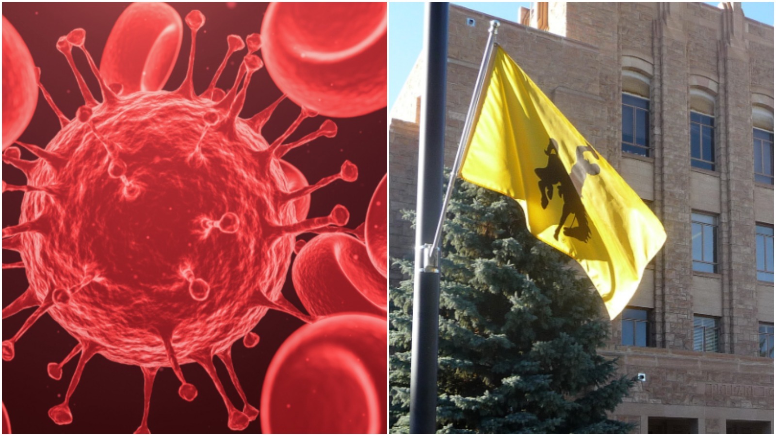 Pjimage 2020 07 10 T113514 485