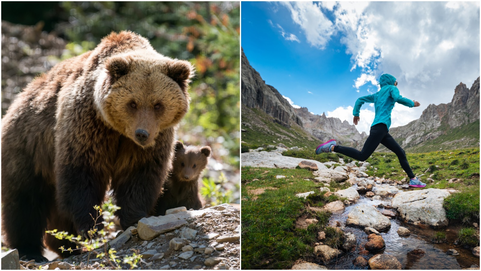 Pjimage 2020 07 12 T120742 845