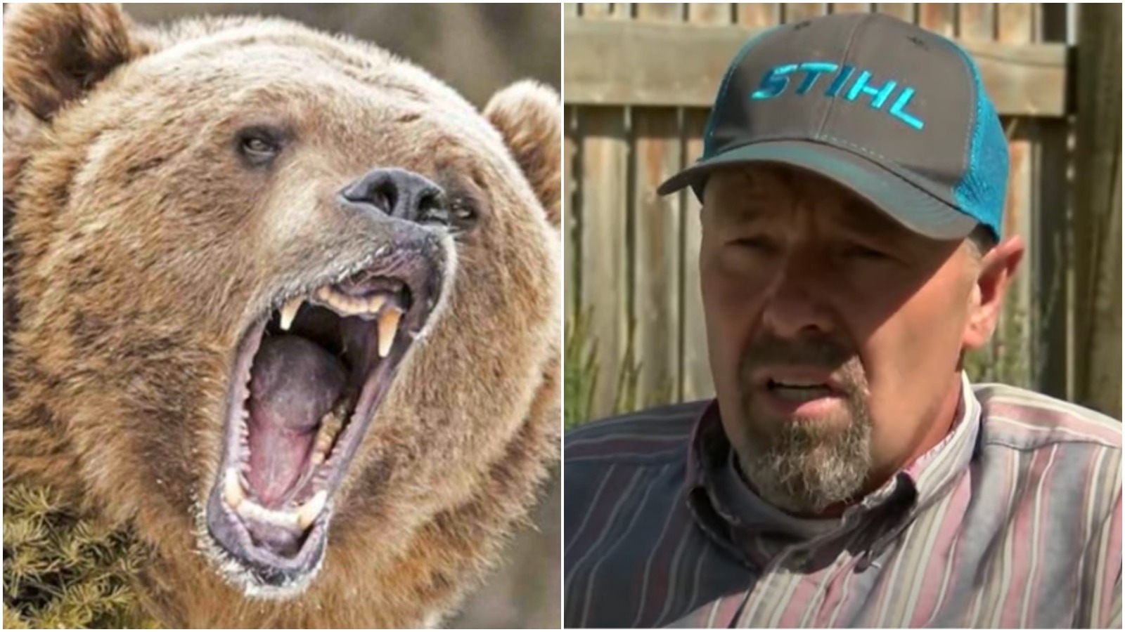 Pjimage 2020 08 16 T113912 382