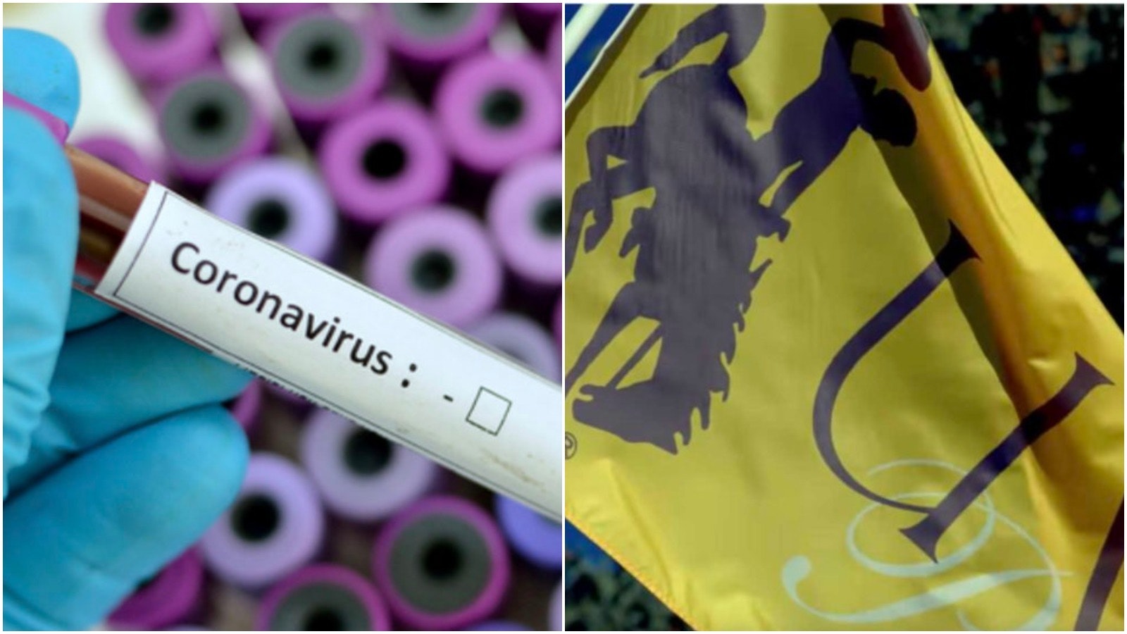 Pjimage 2020 08 17 T204236 006