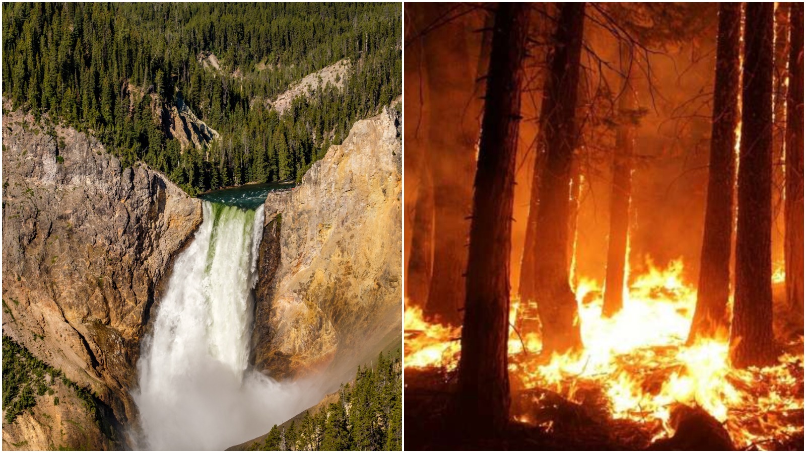 Pjimage 2020 08 17 T215724 418