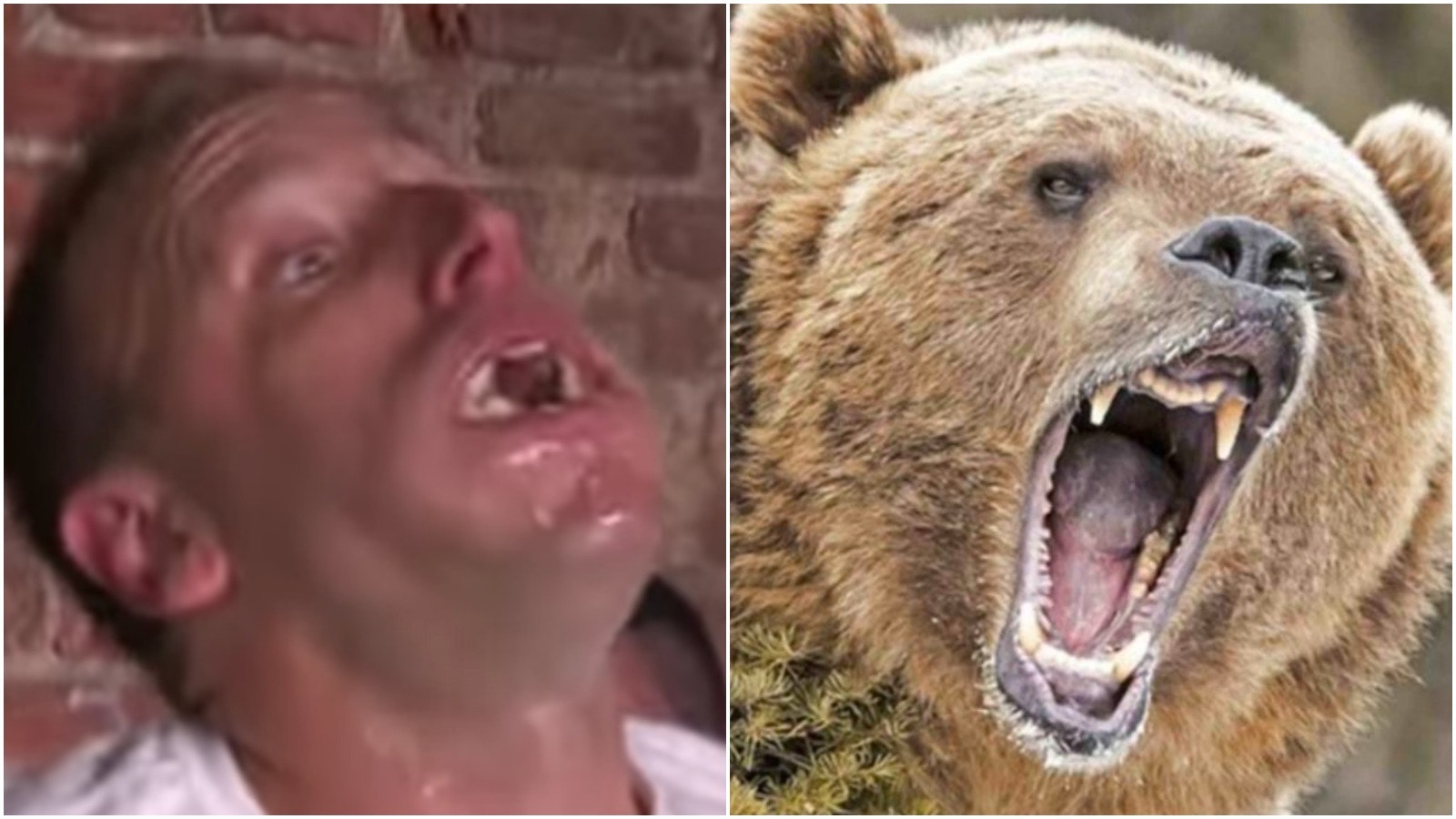 Pjimage 2020 08 18 T121846 945