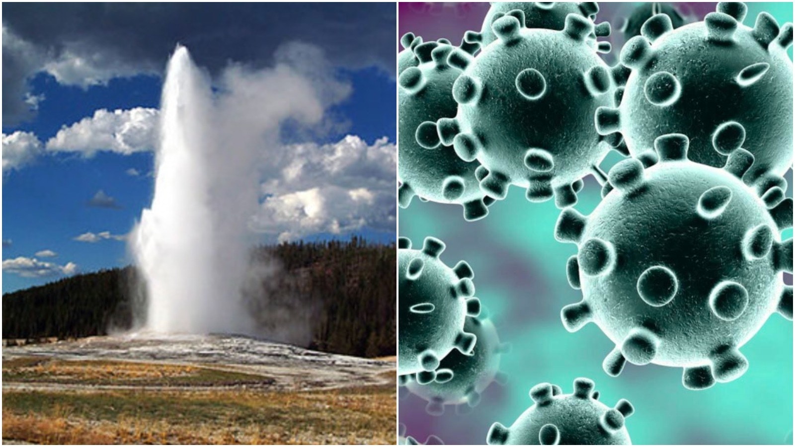 Pjimage 2020 08 20 T171102 057