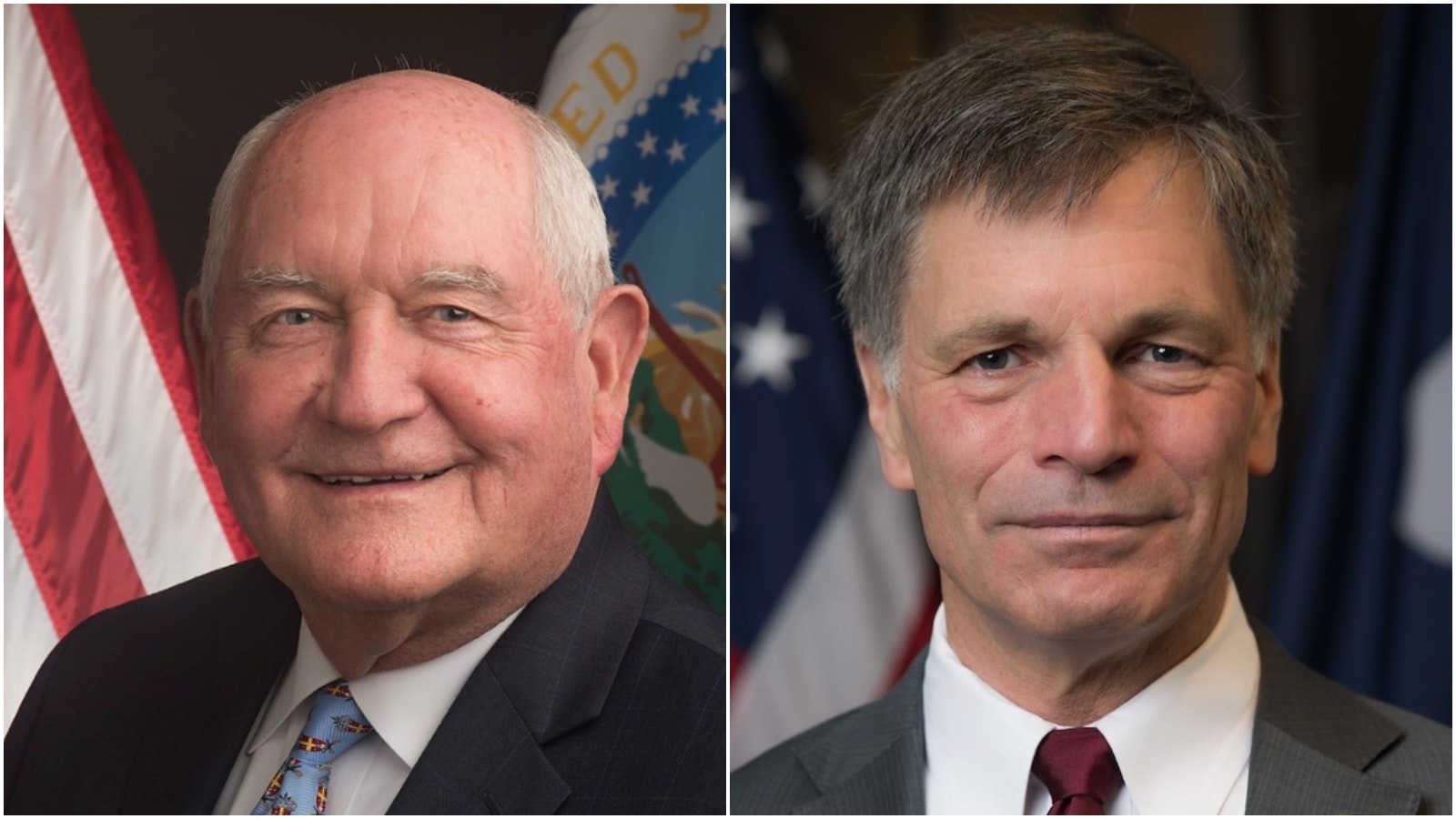 Pjimage 2020 08 25 T211734 349