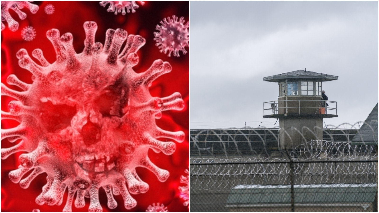 Pjimage 2020 08 28 T100513 485