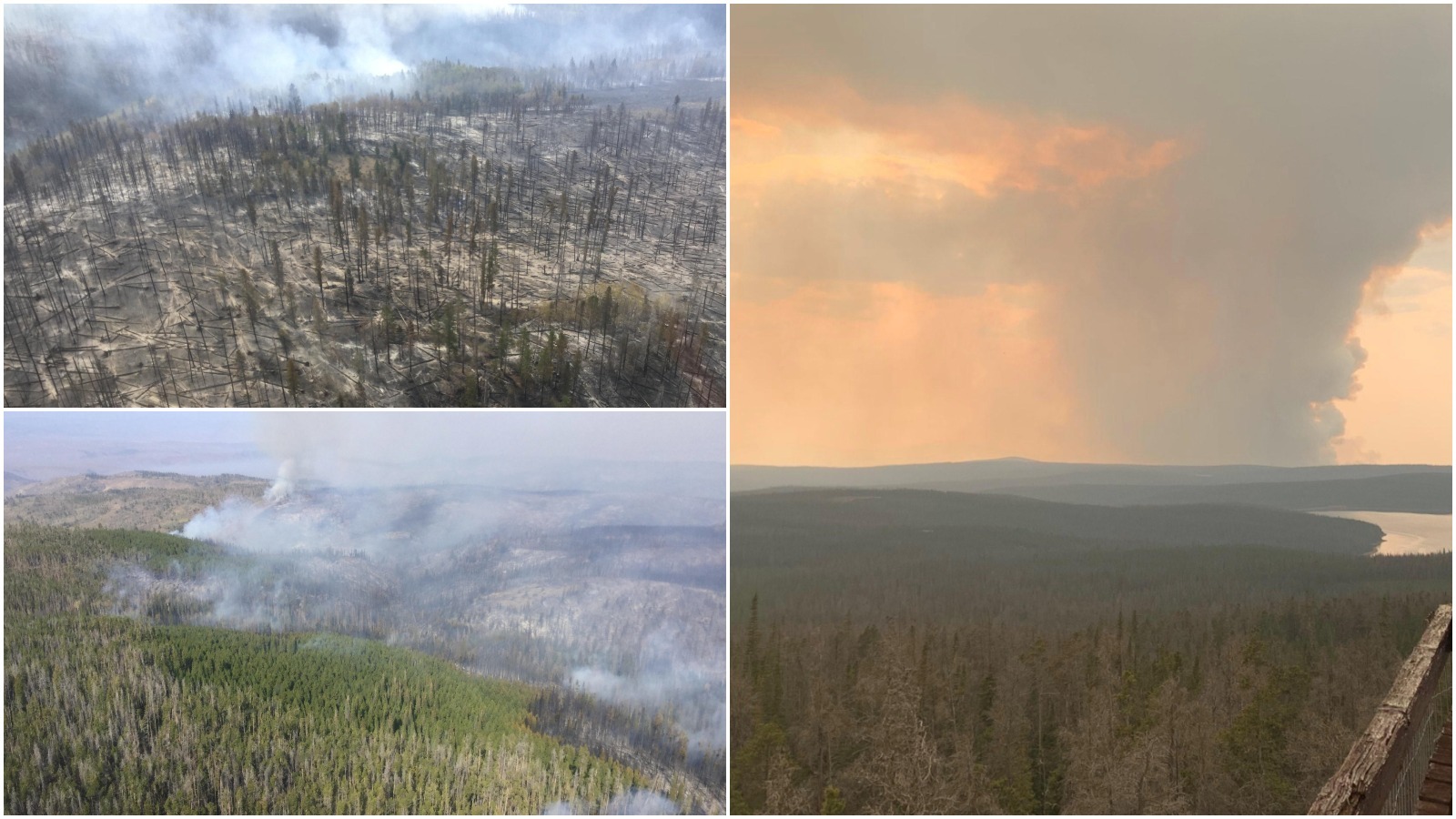 Pjimage 2020 09 21 T213411 137