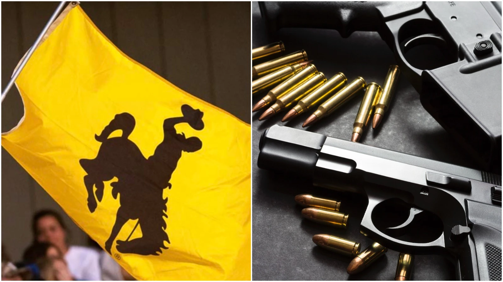 Pjimage 2021 03 12 T161843 527