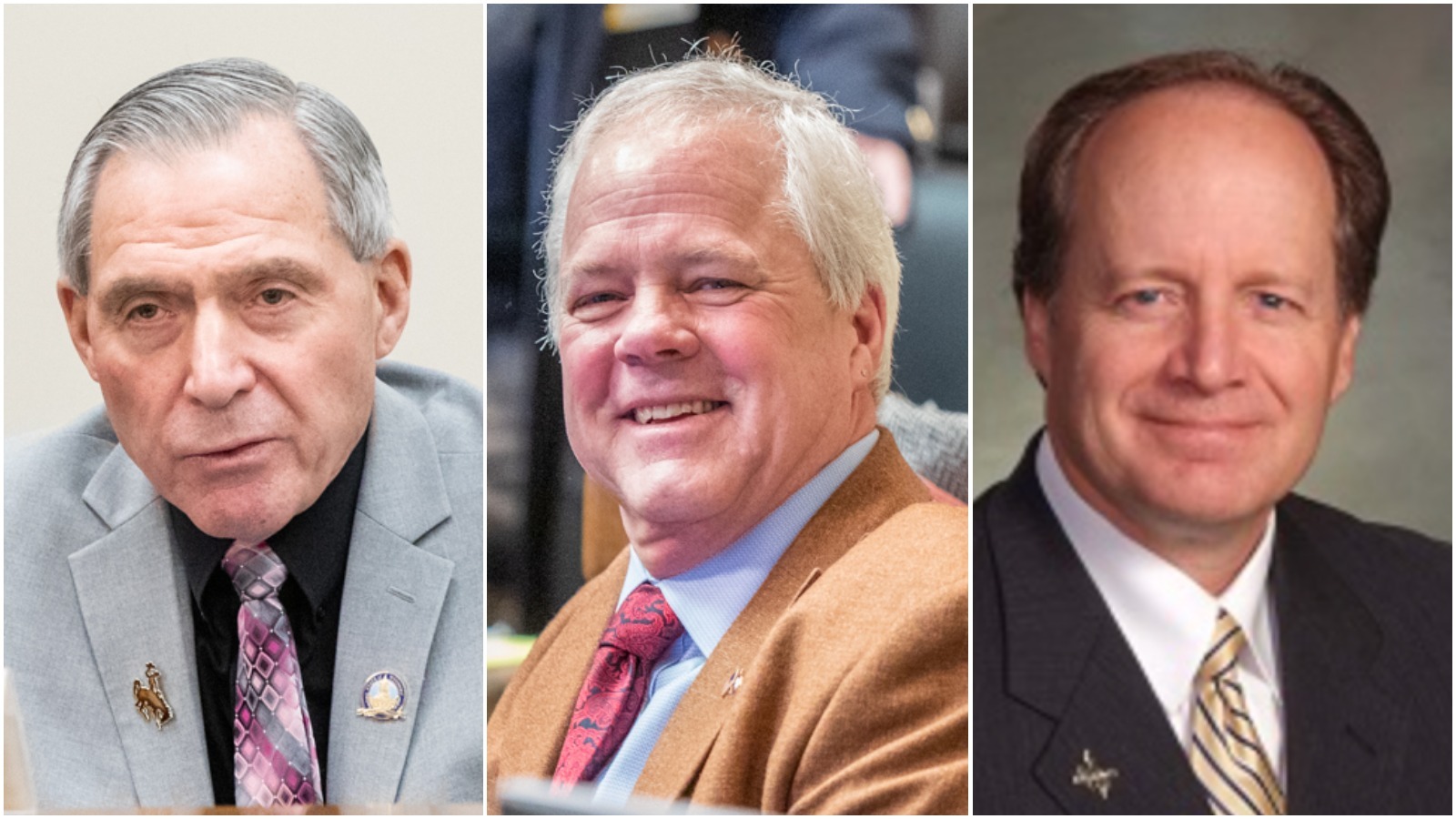 Wyoming Senate District 19 Battle of Legislative Veterans Your