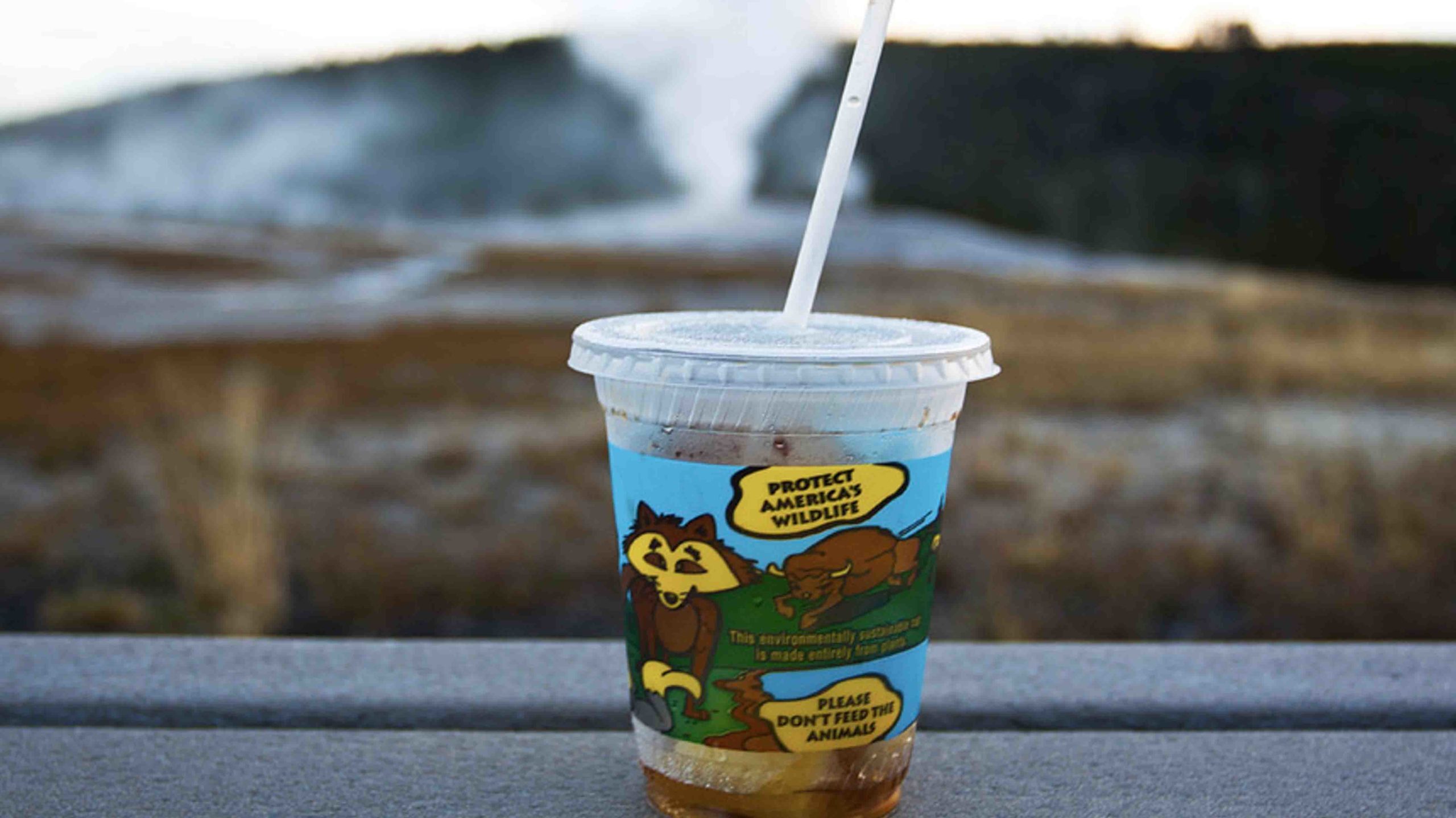 Plastic yellowstone 6 10 22 scaled