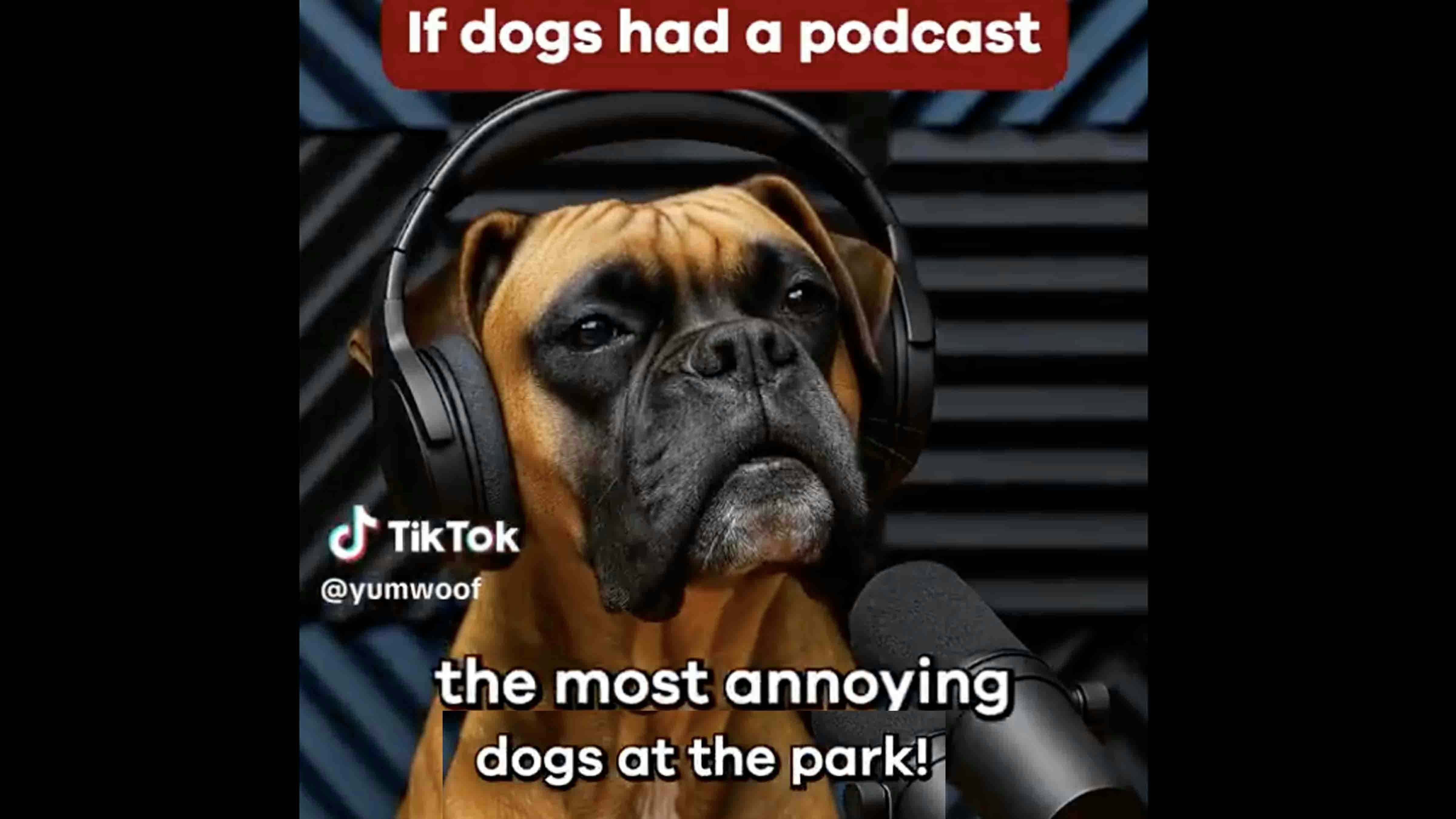 Podcasts 8 13 25