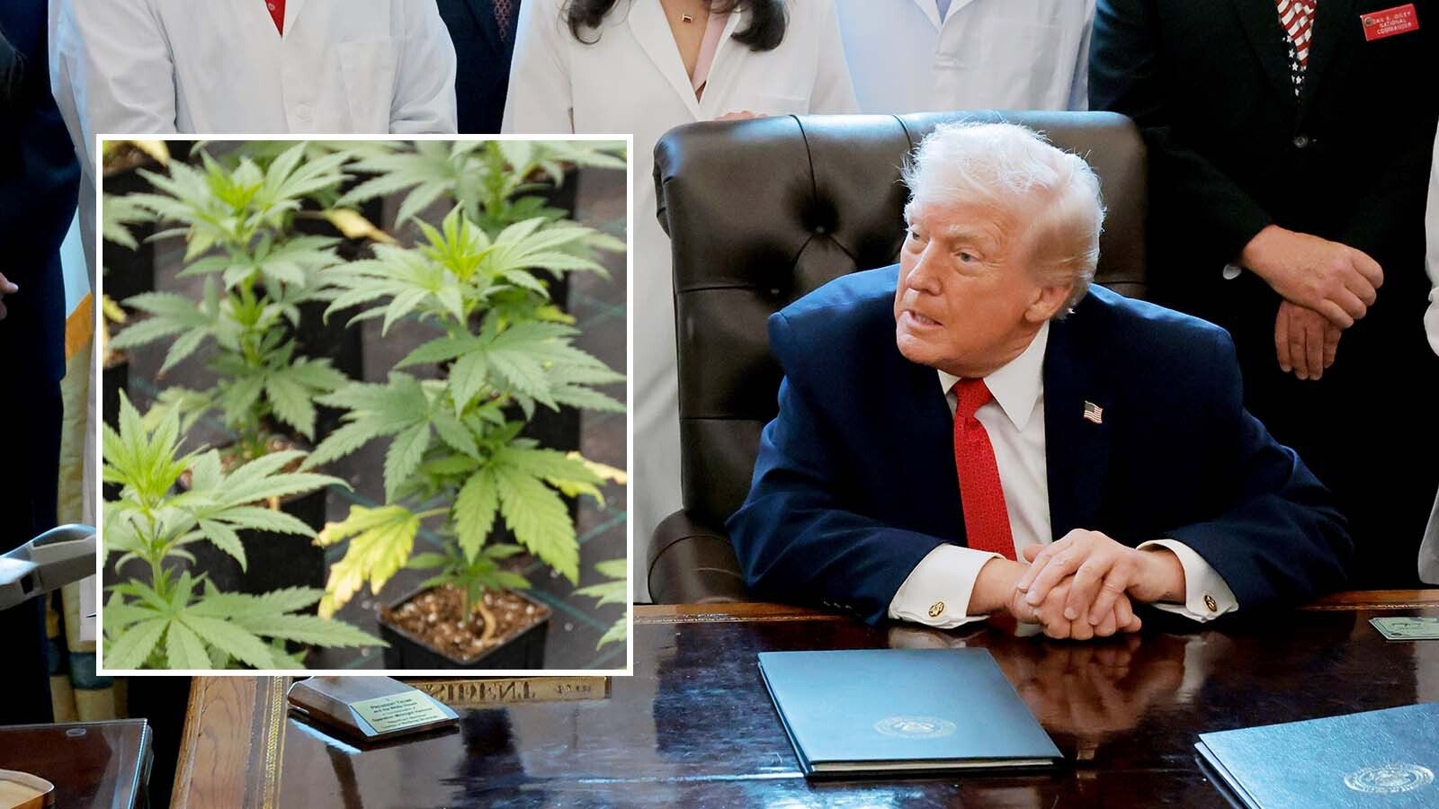 President Donald Trump’s move to reclassify marijuana as a less dangerous drug departs from the tenets of the Wyoming MAGA crowd that usually aligns with him, multiple state leaders said Wednesday.