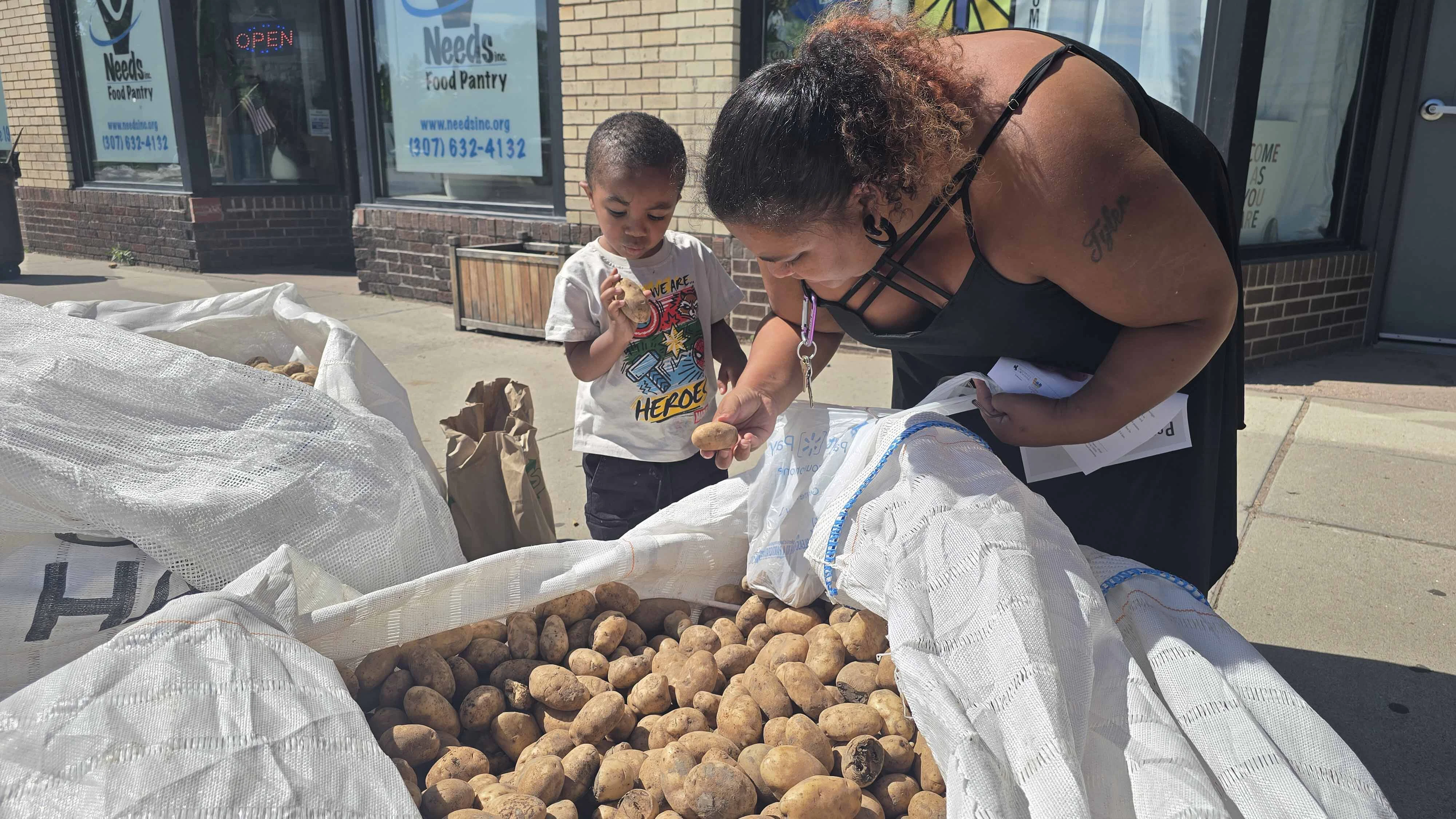 Makayla Sholars' son Ezzy looks over a potato, to decide if it's a "good" one. Sholars' husband has full-time work, while she is a stay-at-home mom. She said the free potatoes will be a big help to her family this month.