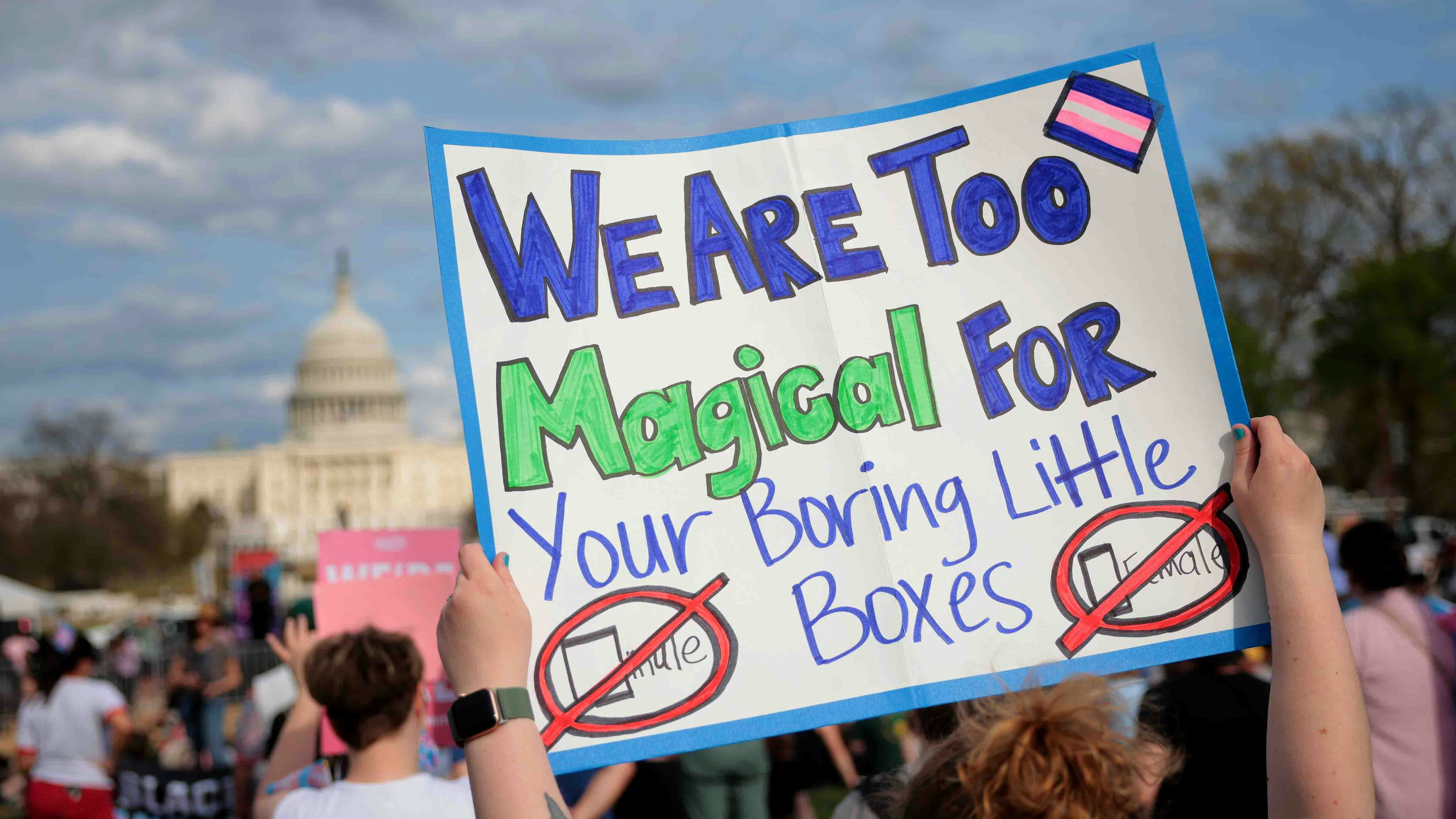 Transgender rights activist and supporters participate in the Trans Day Of Visibility rally on the National Mall on March 31, 2025 in Washington City.