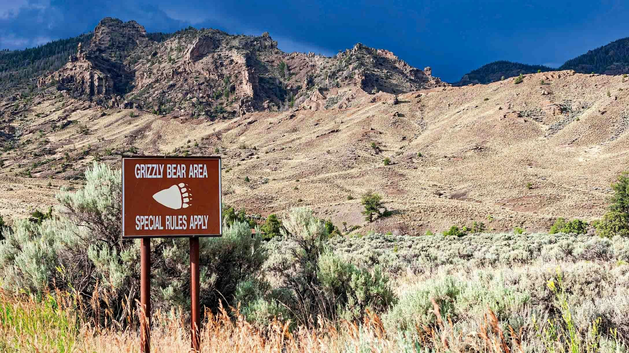 Grizzly sign in Wyoming