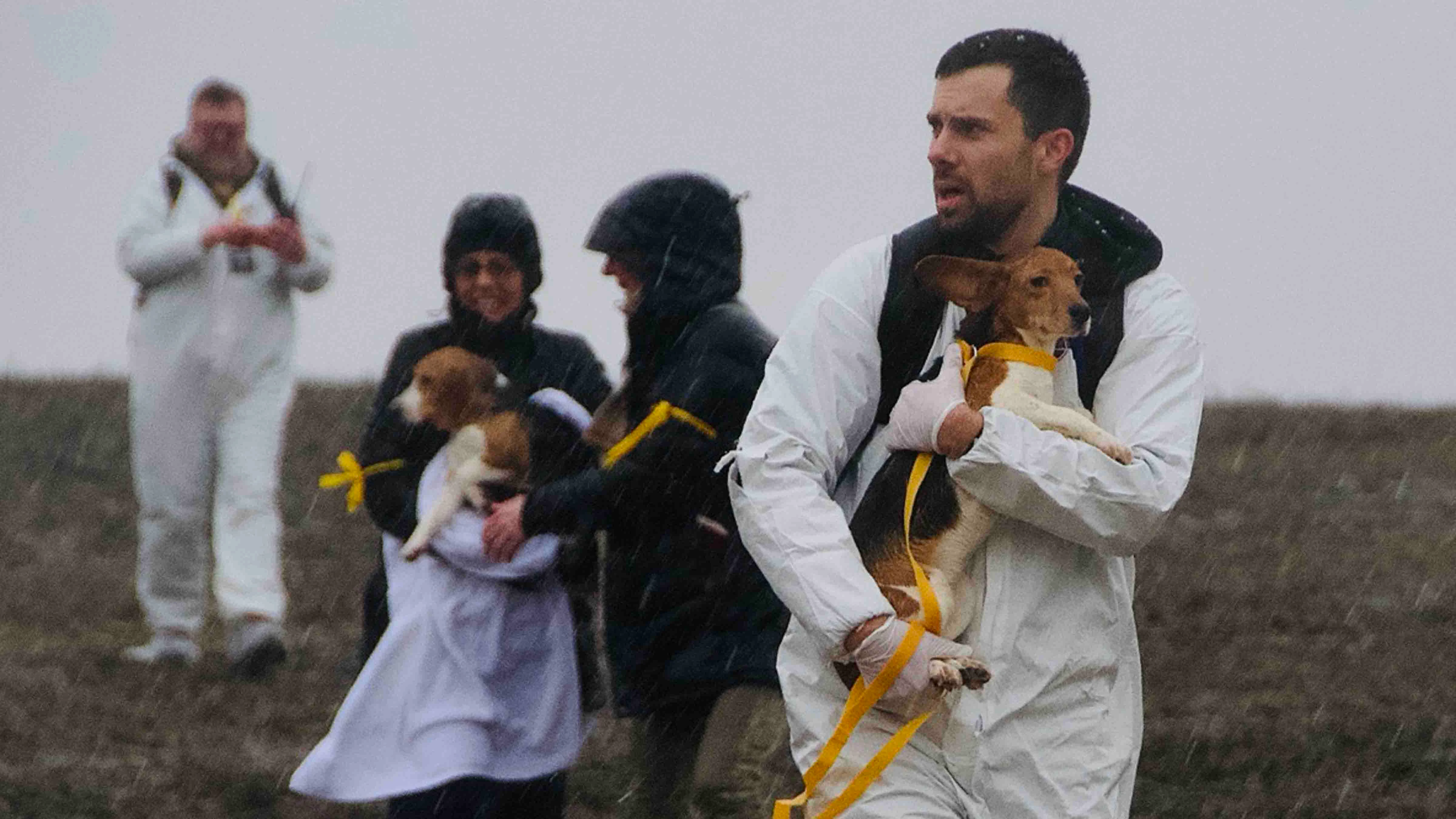 A Rock Springs animal rights activist who helped raid a Wisconsin beagle lab earlier this month said saving abused dogs was worth getting arrested. “It’s not a crime to rescue abused animals when they are suffering,” she told Cowboy State Daily.