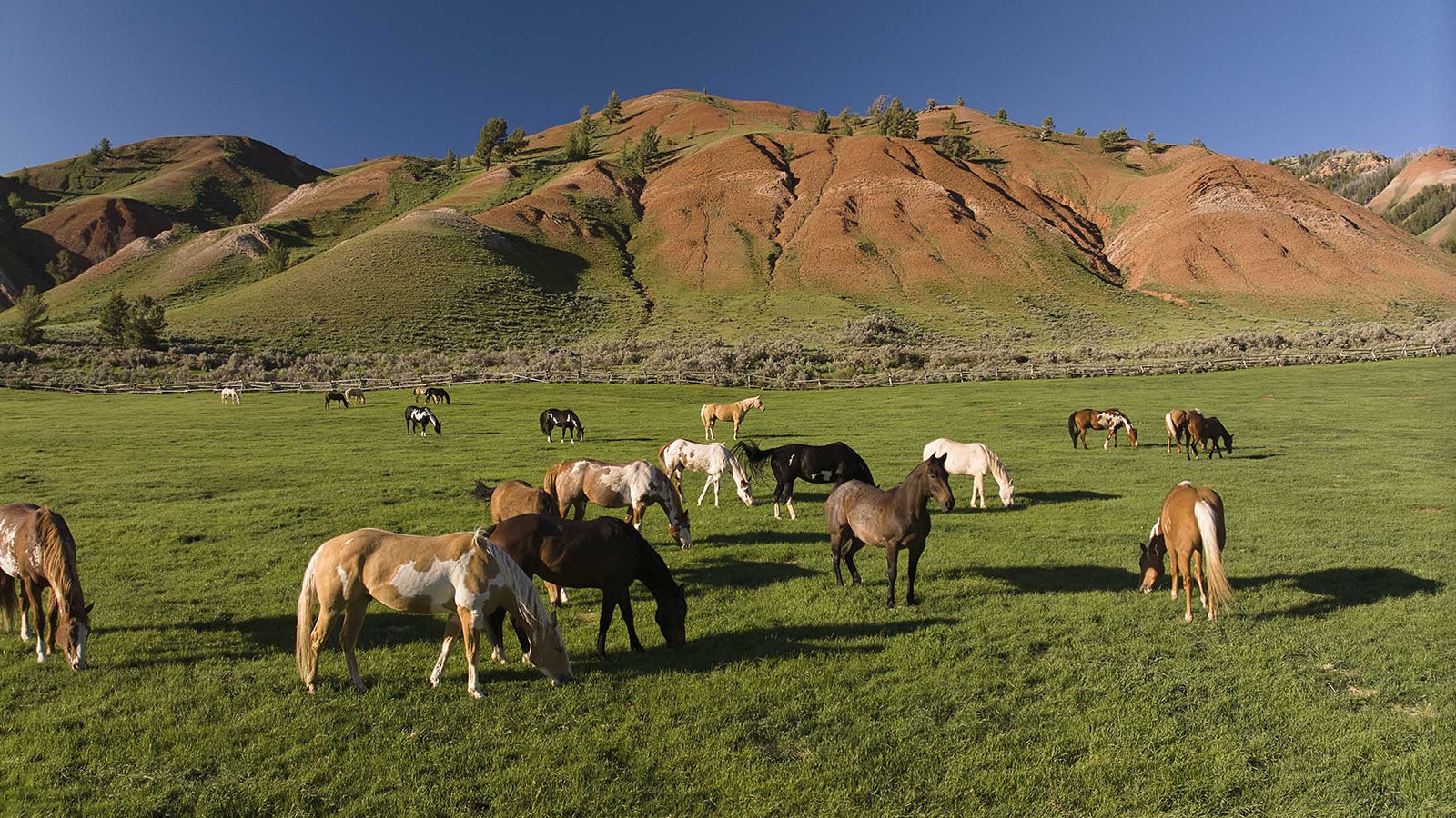 The 190-acre Red Hills Ranch, owned by late U.S. Sen. Herb Kohl, is a spectacular property in the Gros Ventre River Valley. It's on the National Register of Historic Places and is for sale, listing for $65 million.