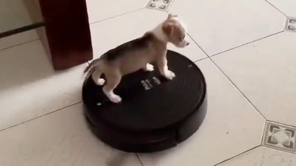 Robot vacuums no play 7 25 26