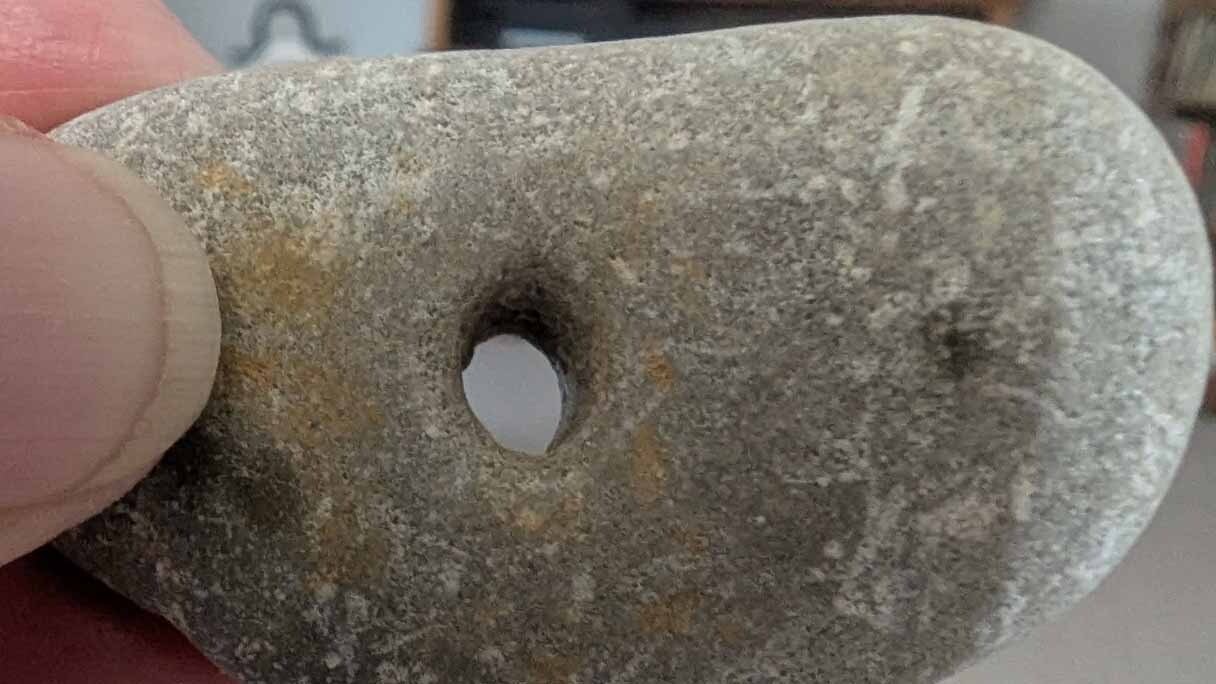 When LeAnn Baker of  Worland, Wyoming, found this stone in her gravel that was hauled in, Google told her it was a magic hag stone. However, local archaeologist, Mike Bies, said it might be an artifact called a spindle whorl.