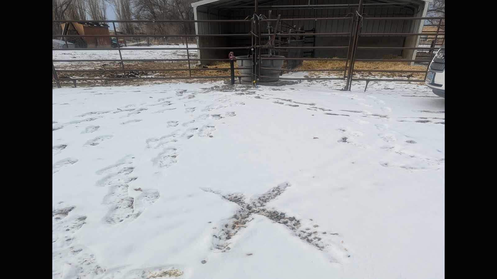 LeAnn Baker marked the spot she found her interesting holey rock with an X. Google told her it was magic but a local archaeologist said it may have been used instead to make cordage by local Indian tribes.