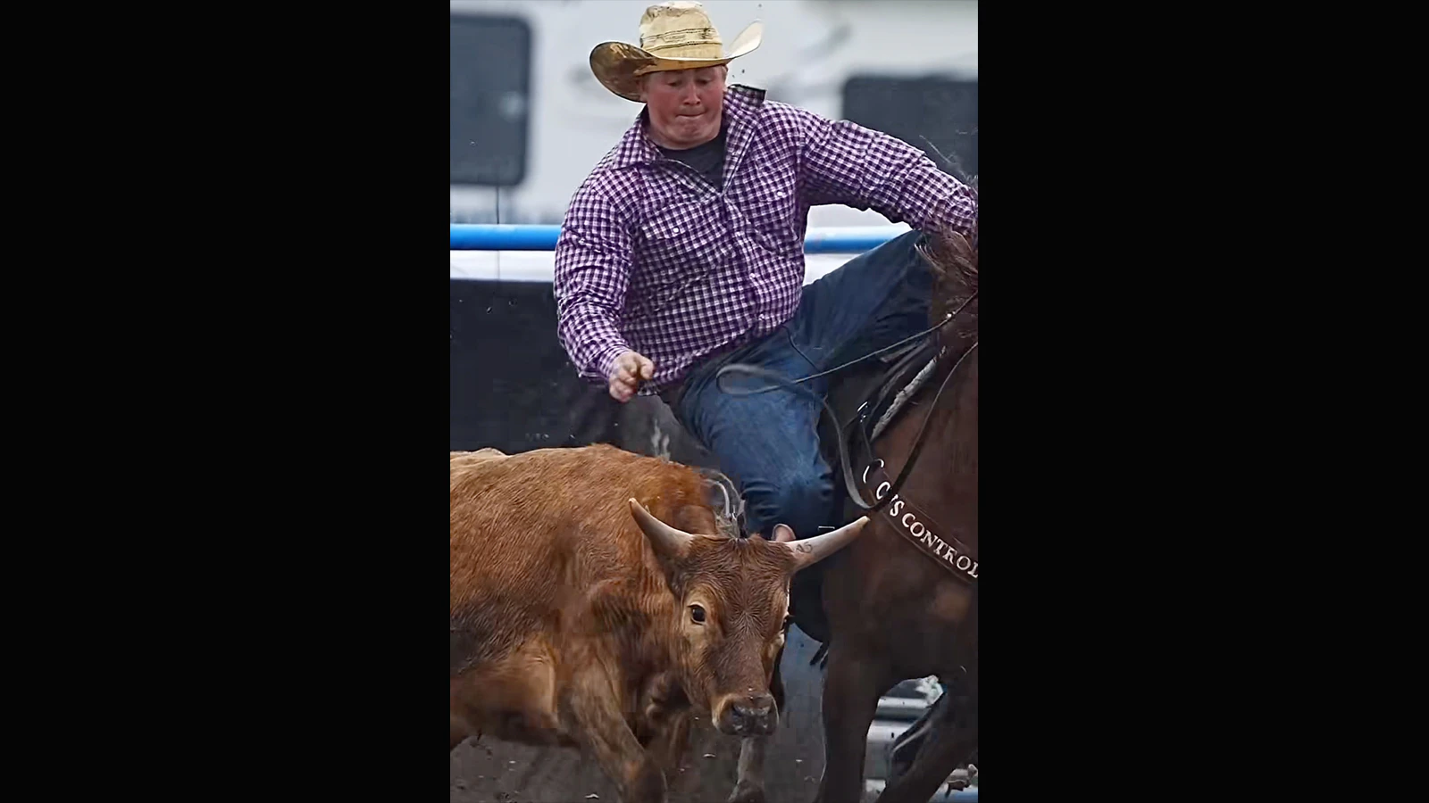 Rodeo 7 25 26