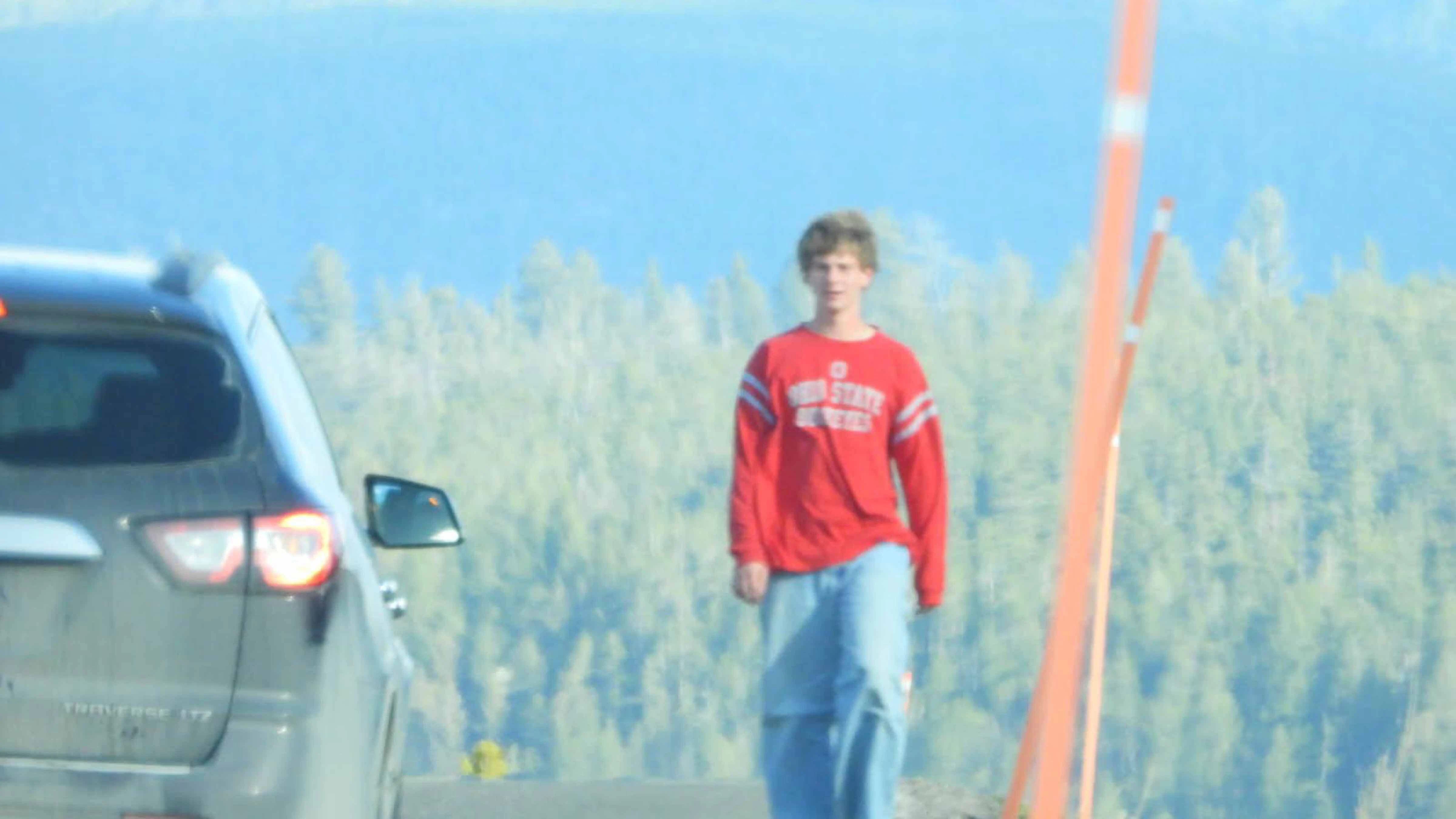 Man walking back to vehicle after charging into a herd of bison.