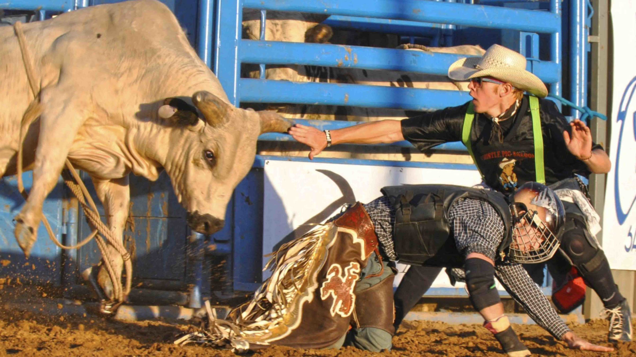 Saratoga bullfest 7 18 22 scaled