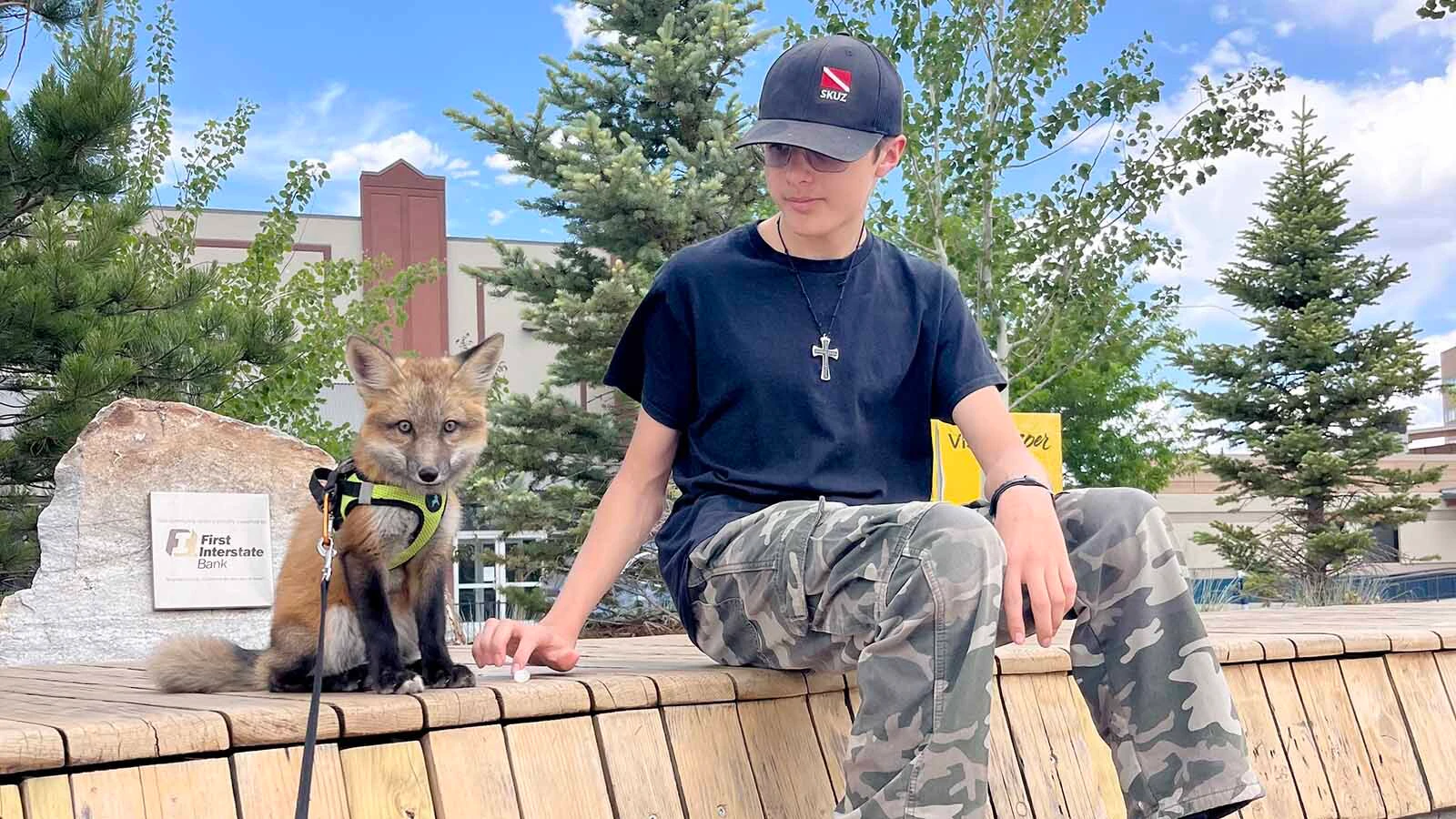 The Zuniga family in Lander turns heads everywhere they go when walking their 6-month-old pet fox Scrappy, who’s a hyperactive attention hog that loves to be petted.