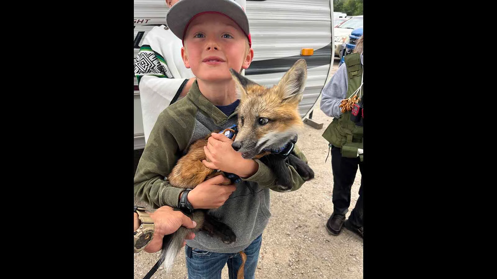 The Zuniga family in Lander turns heads everywhere they go when walking their 6-month-old pet fox Scrappy, who’s a hyperactive attention hog that loves to be petted.