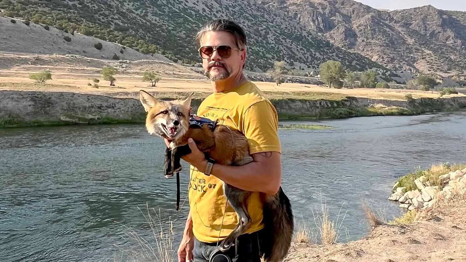 The Zuniga family in Lander turns heads everywhere they go when walking their 6-month-old pet fox Scrappy, who’s a hyperactive attention hog that loves to be petted.