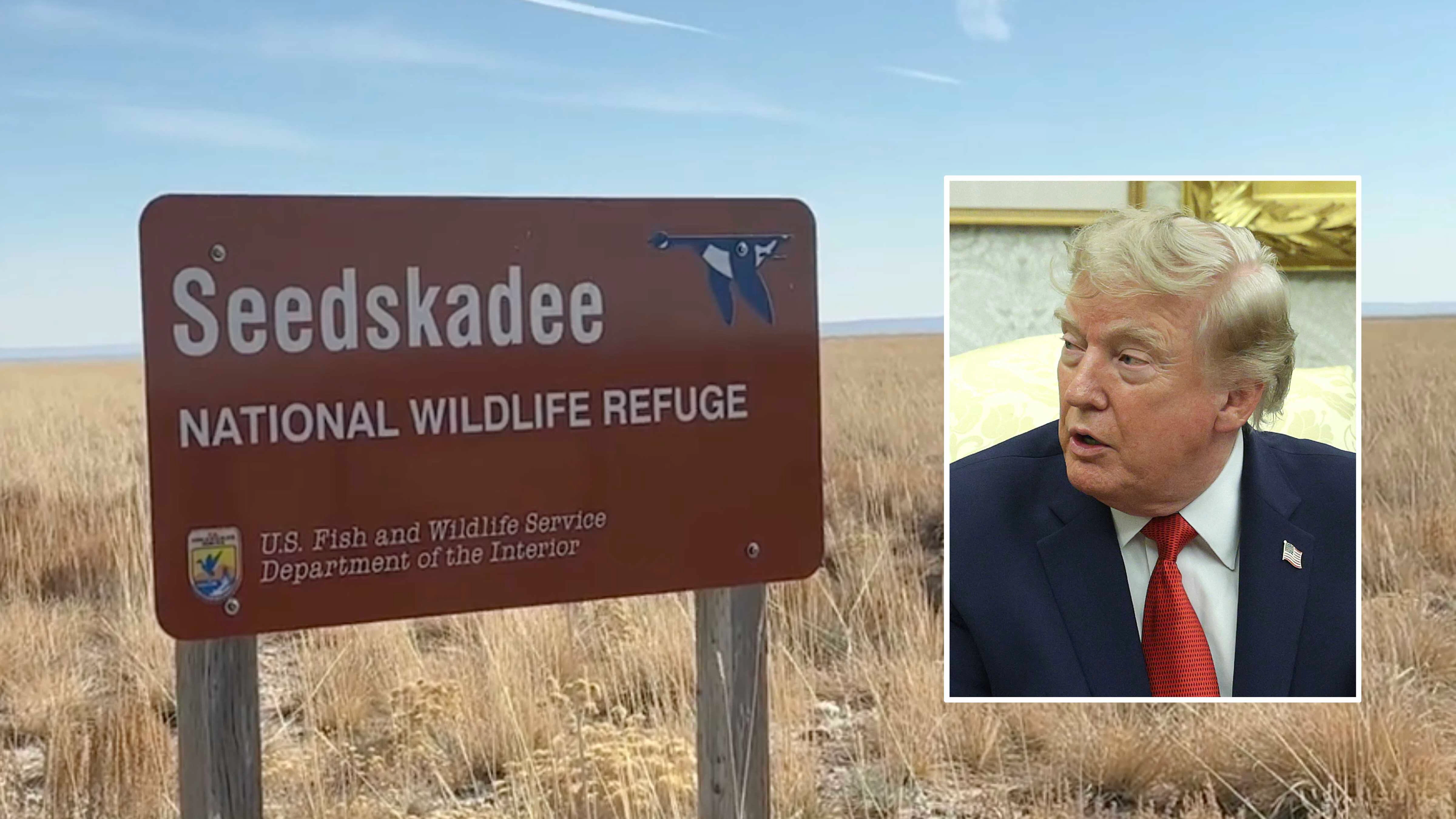 Seedskadee trump 8 20 26