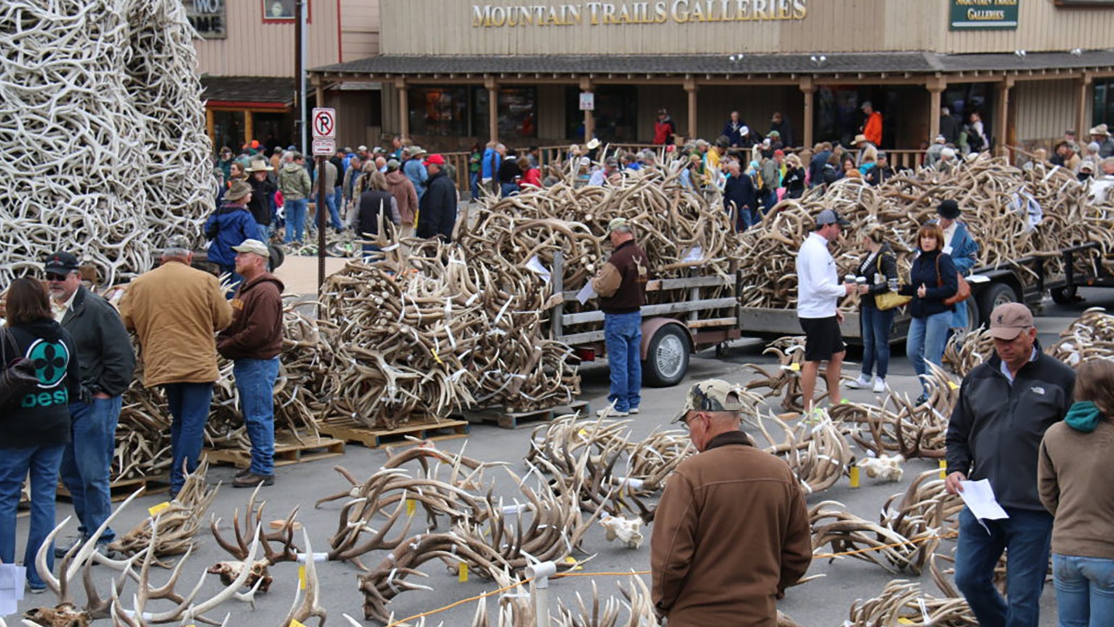 Shed antlers 2 16 23