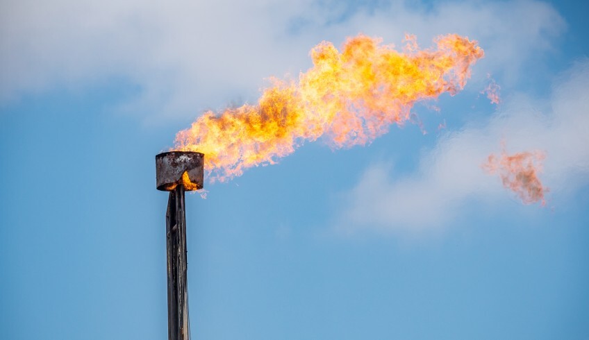 Shutterstock 1182675586